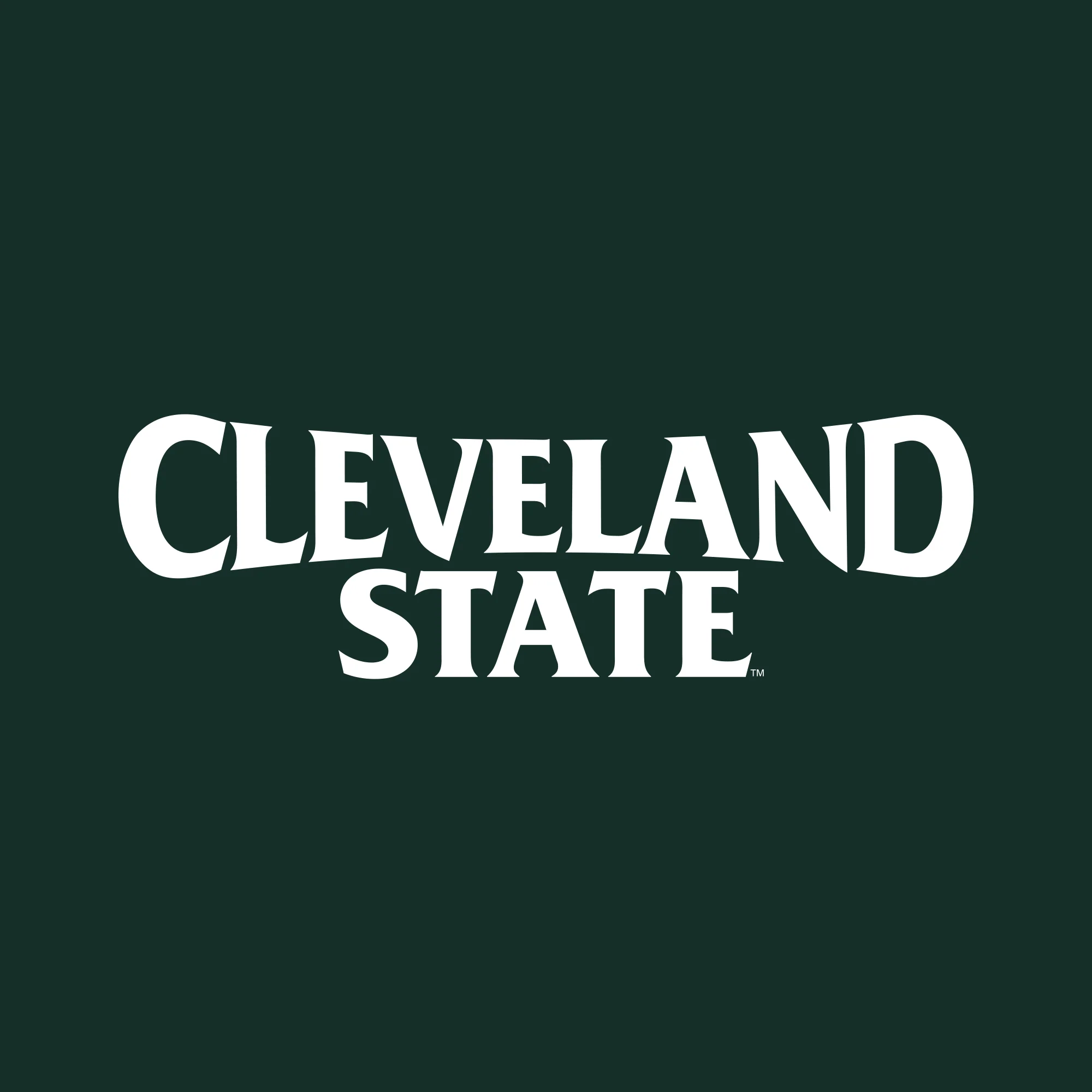 Cleveland State Vikings Basic Block Hoodie - Forest - Image 2