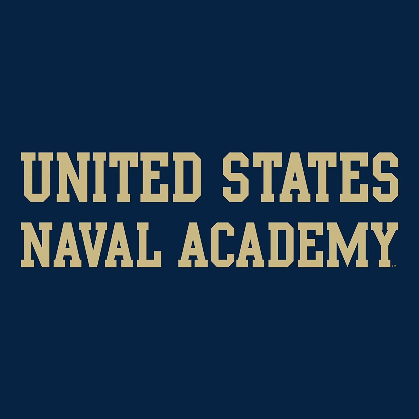 United States Naval Academy Midshipmen Basic Block Heavy Blend Hoodie - Navy - Image 2