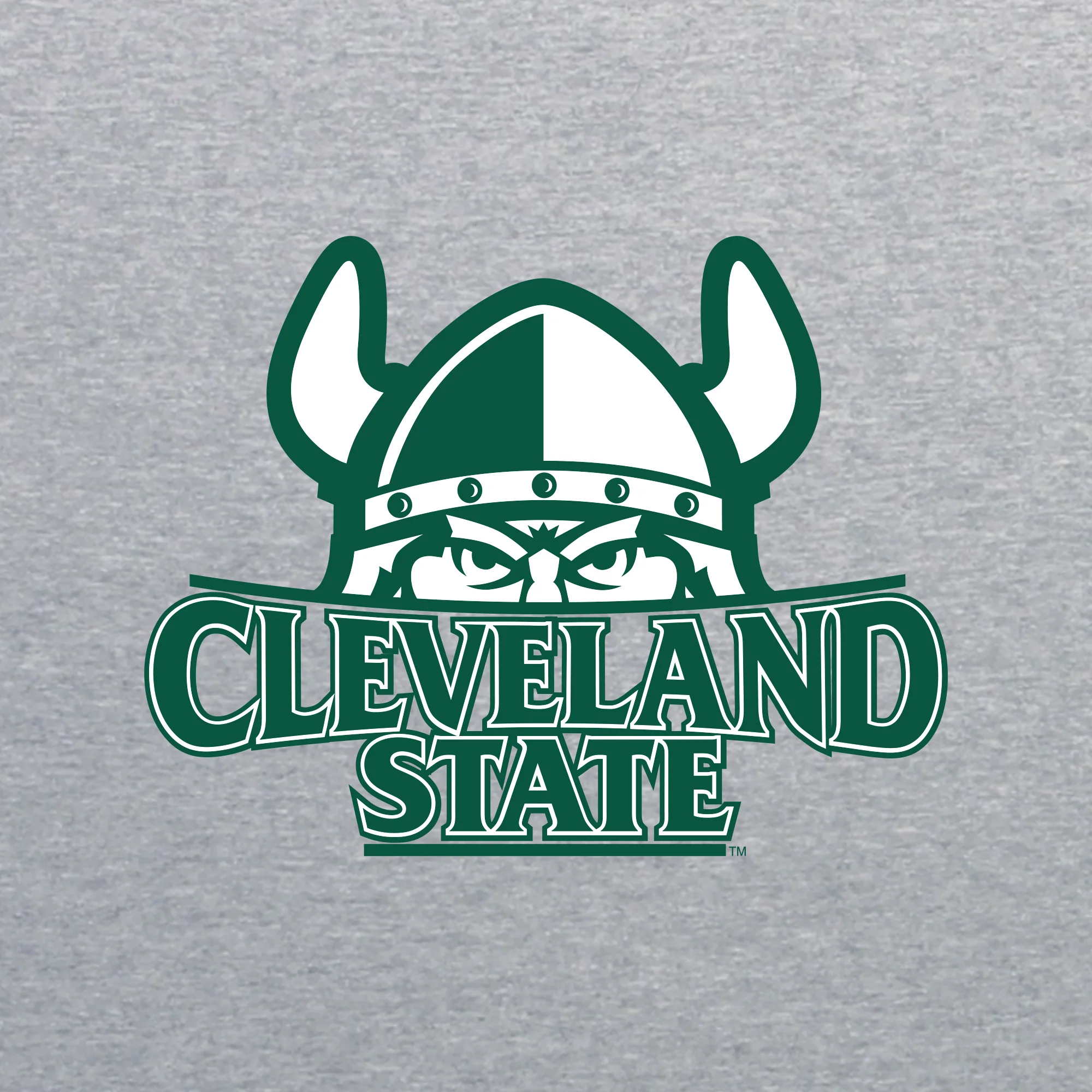 Cleveland State Vikings Primary Logo Hoodie - Sport Grey - Image 2