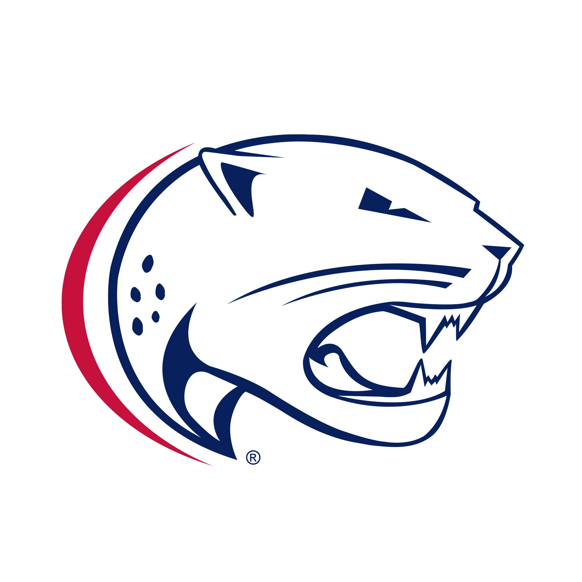 South Alabama Jaguars Primary Logo Hoodie - White - Image 2