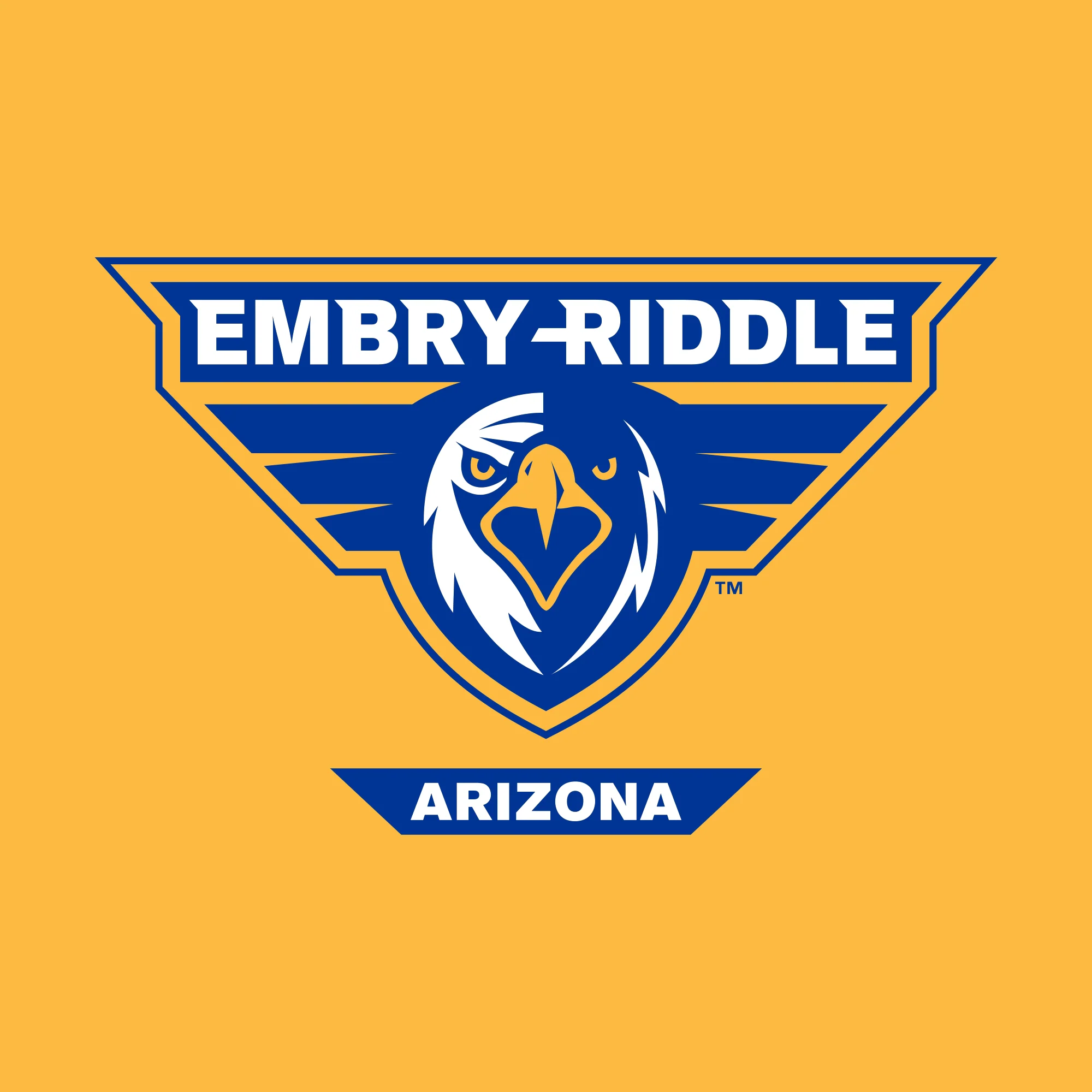 Embry-Riddle Aeronautical University Eagles Prescott Primary Logo Hoodie - Gold - Image 2