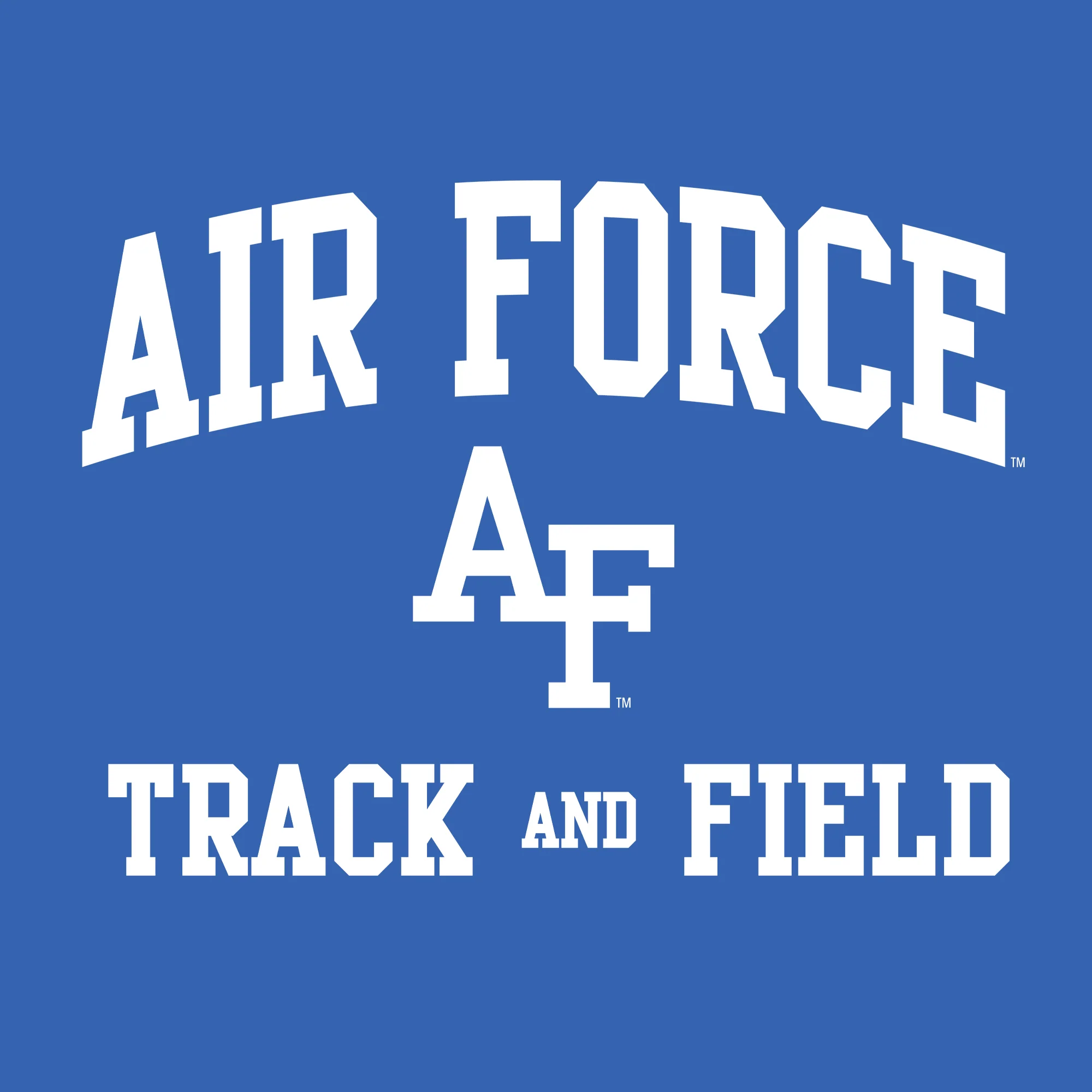 Air Force Academy Arch Logo Track & Field Hoodie - Royal - Image 2