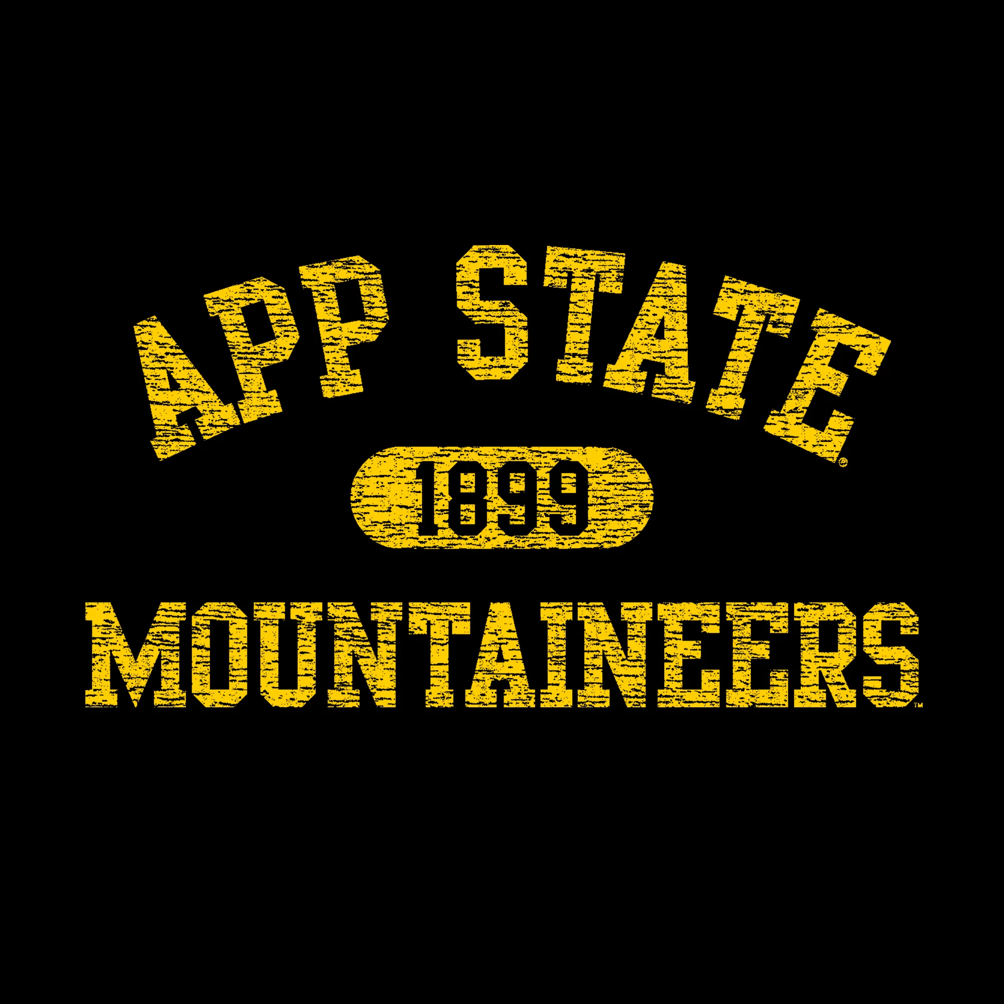 App State Athletic Arch Hoodie - Black - Image 2