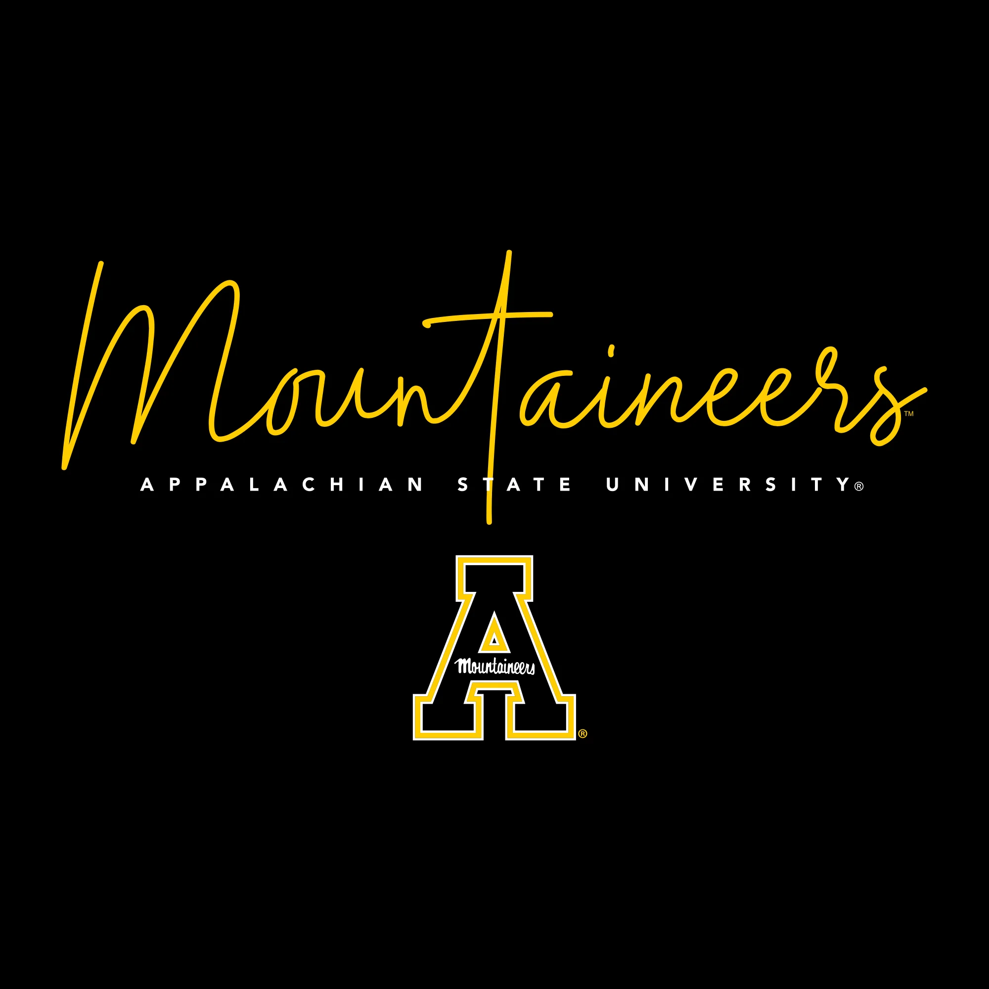 App State Thin Script Womens T-Shirt - Black - Image 2