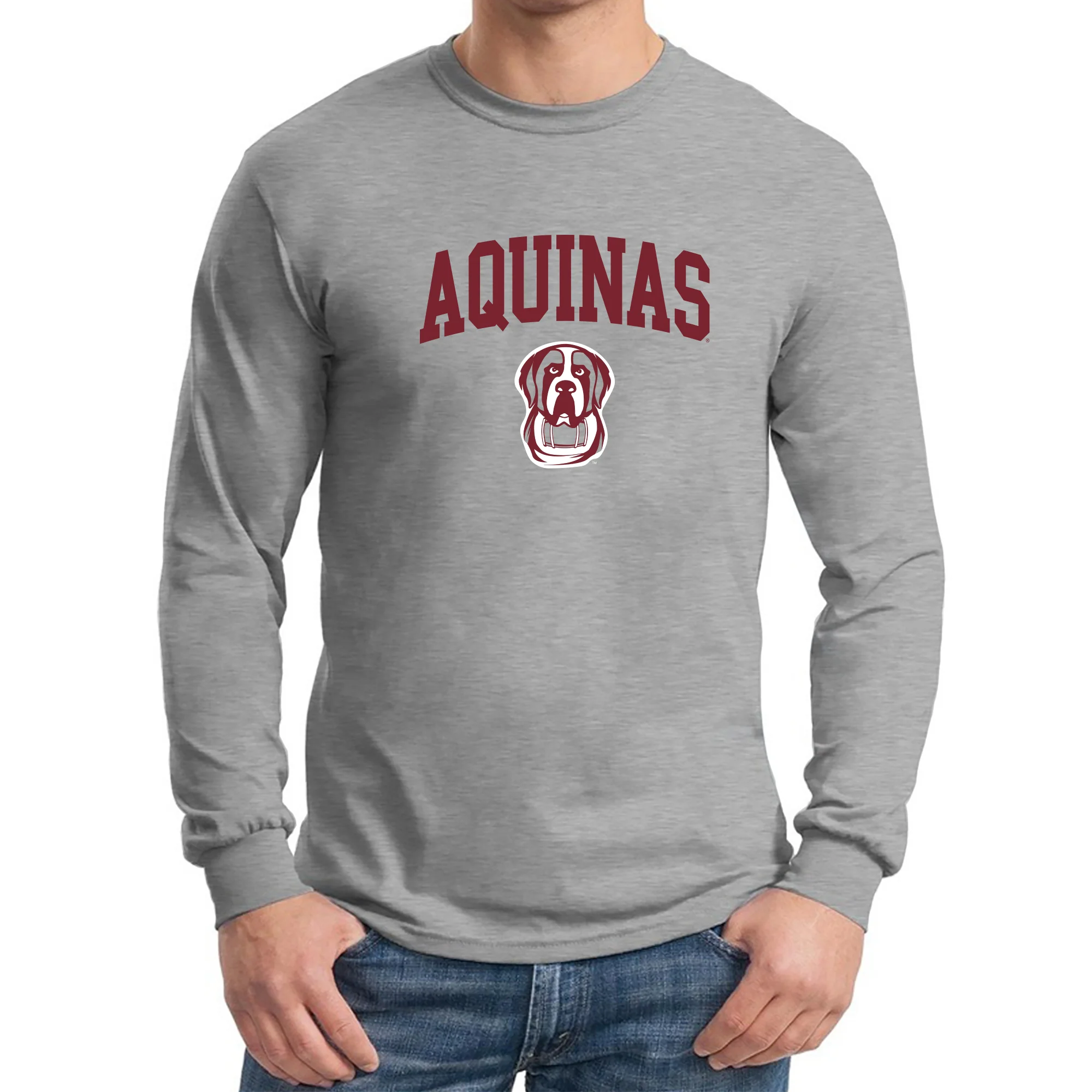 Aquinas College Saints Arch Logo Heavy Cotton Long Sleeve T-Shirt - Sport Grey - Image 3
