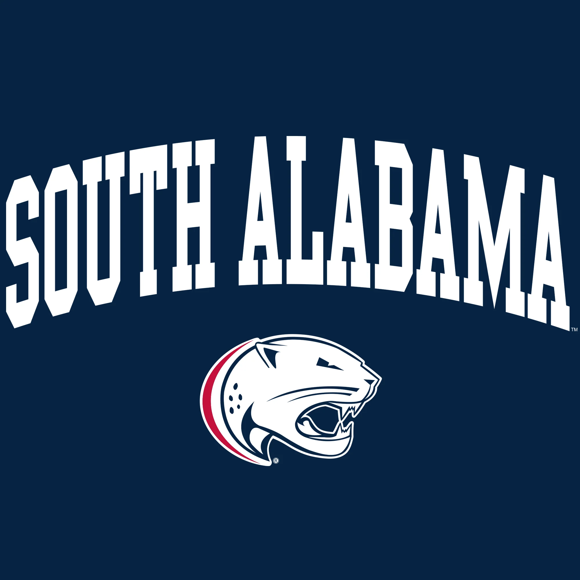 South Alabama Jaguars Arch Logo T Shirt - Navy - Image 2