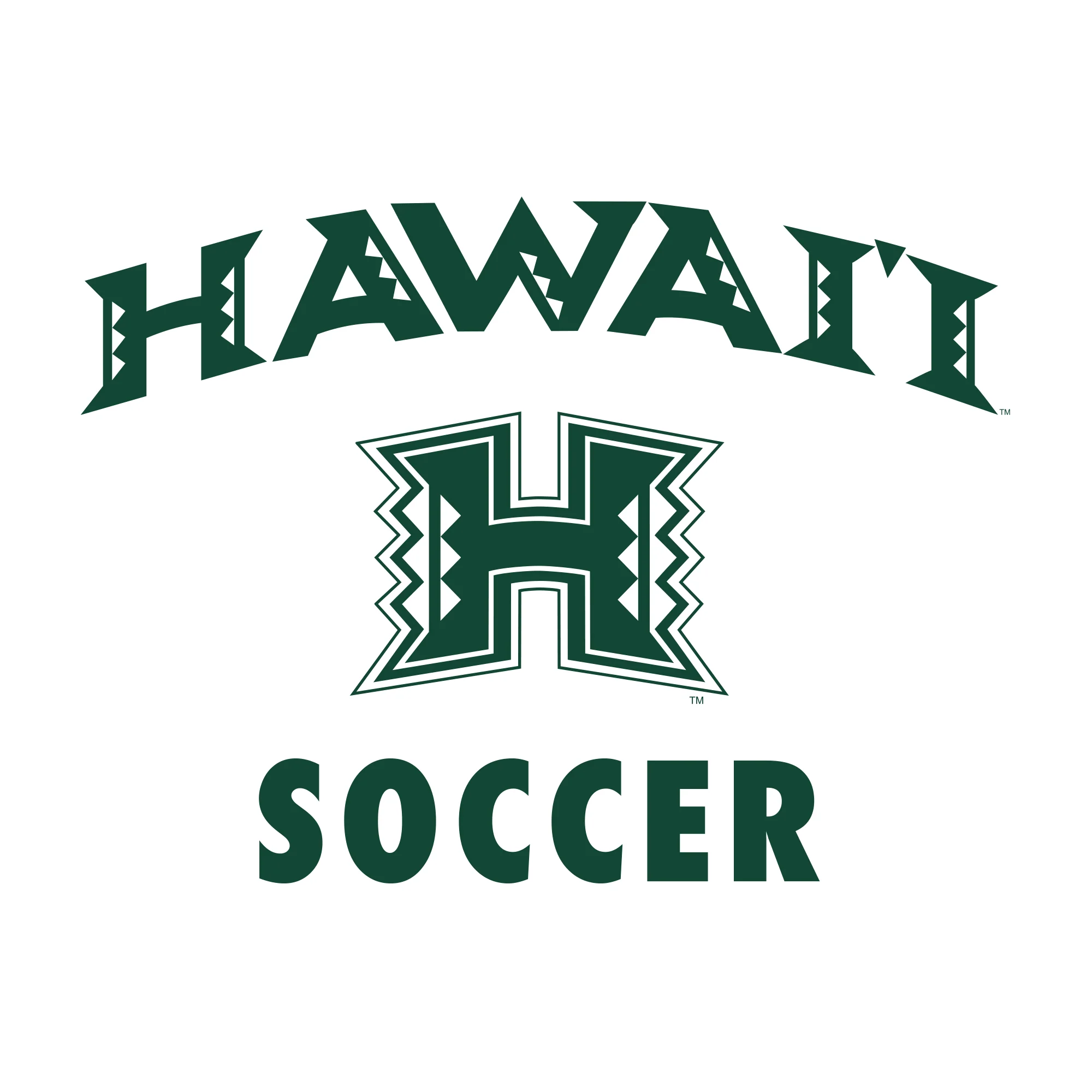 Hawaii Rainbow Warriors Arch Logo Soccer T Shirt - White - Image 2