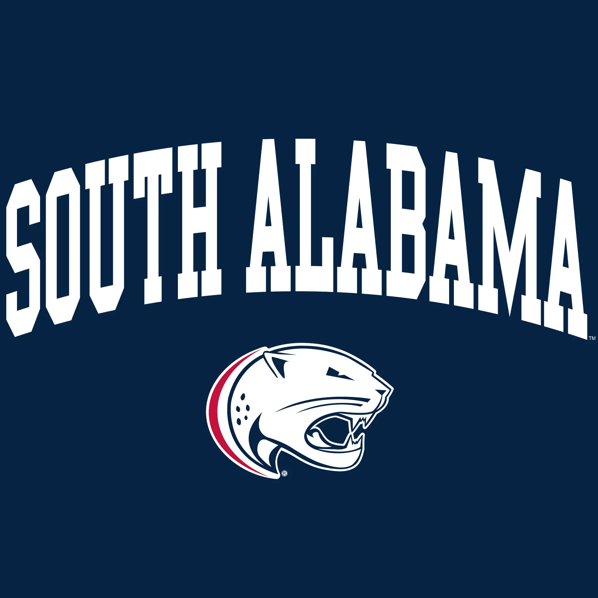 South Alabama Jaguars Arch Logo Crewneck Sweatshirt - Navy - Image 2