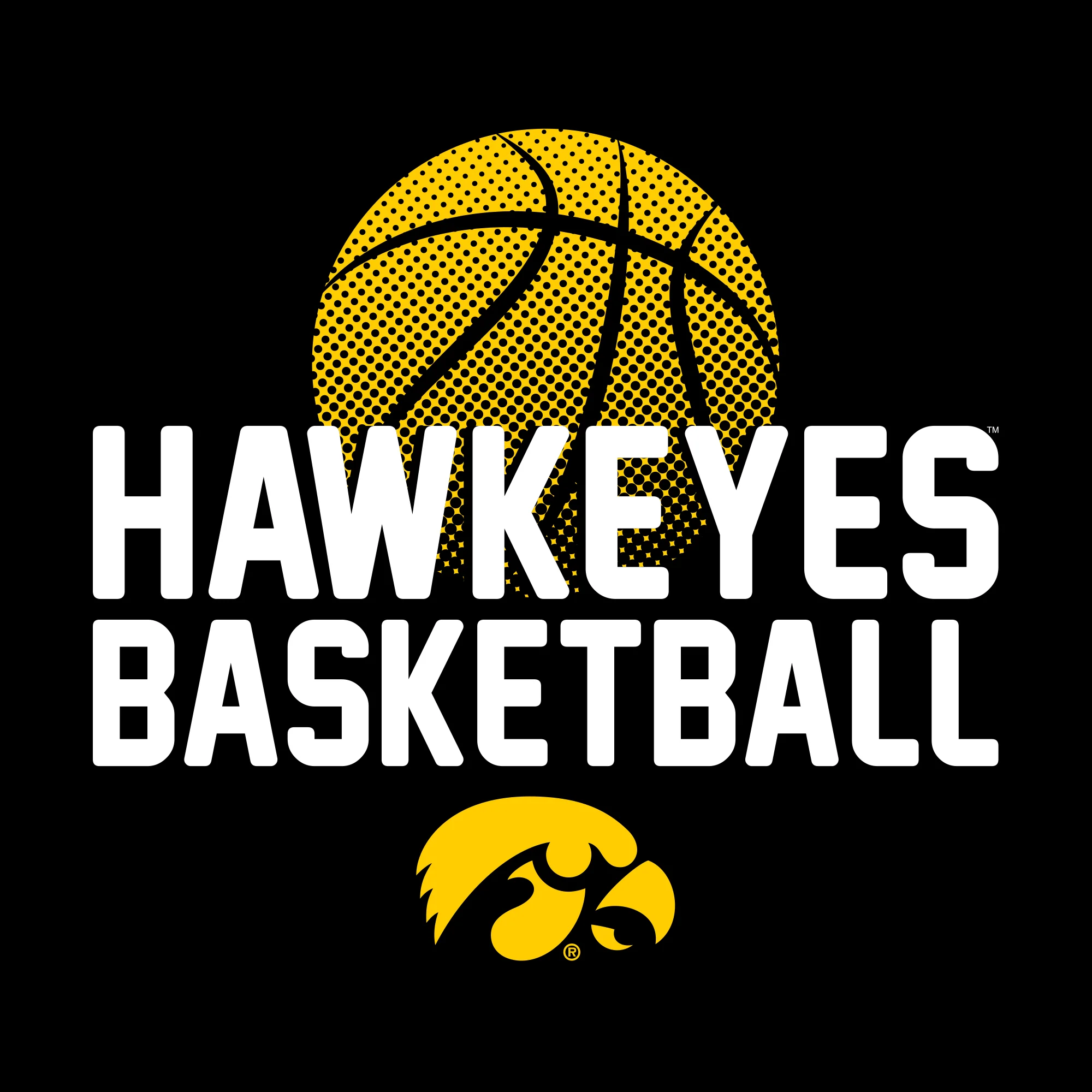 University of Iowa Basketball Flux Basic Cotton Youth Short Sleeve T Shirt - Black - Image 2