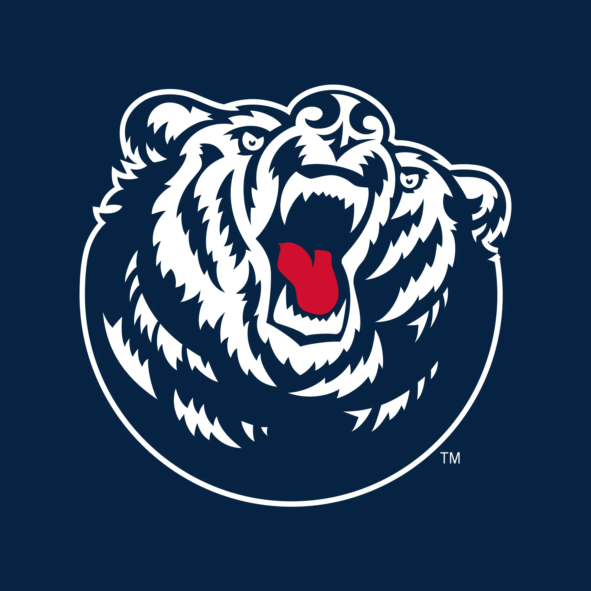 Belmont University Bruins Primary Logo Heavy Blend Hoodie - Navy - Image 2