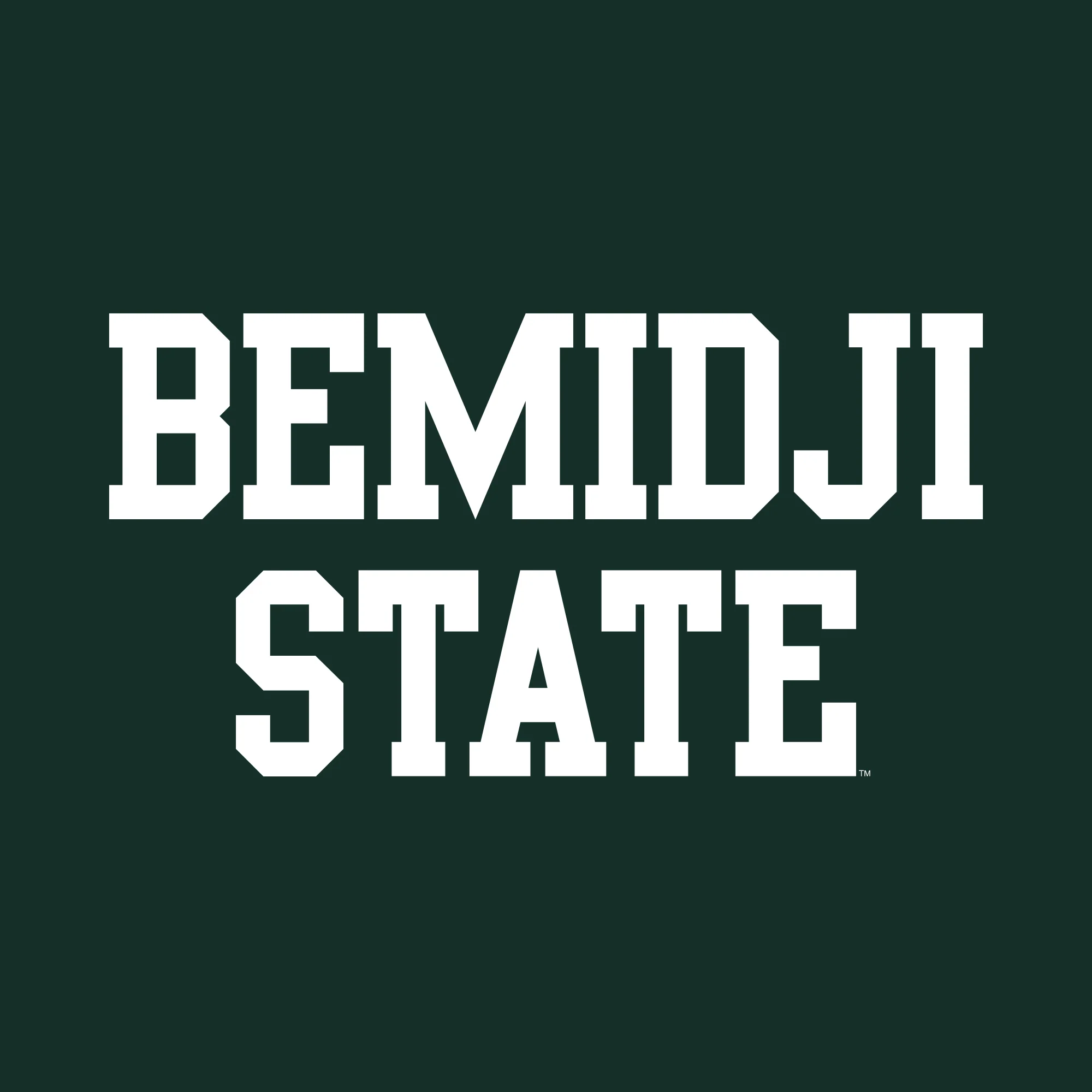 Bemidji State Beavers Basic Block Youth T Shirt - Forest - Image 2