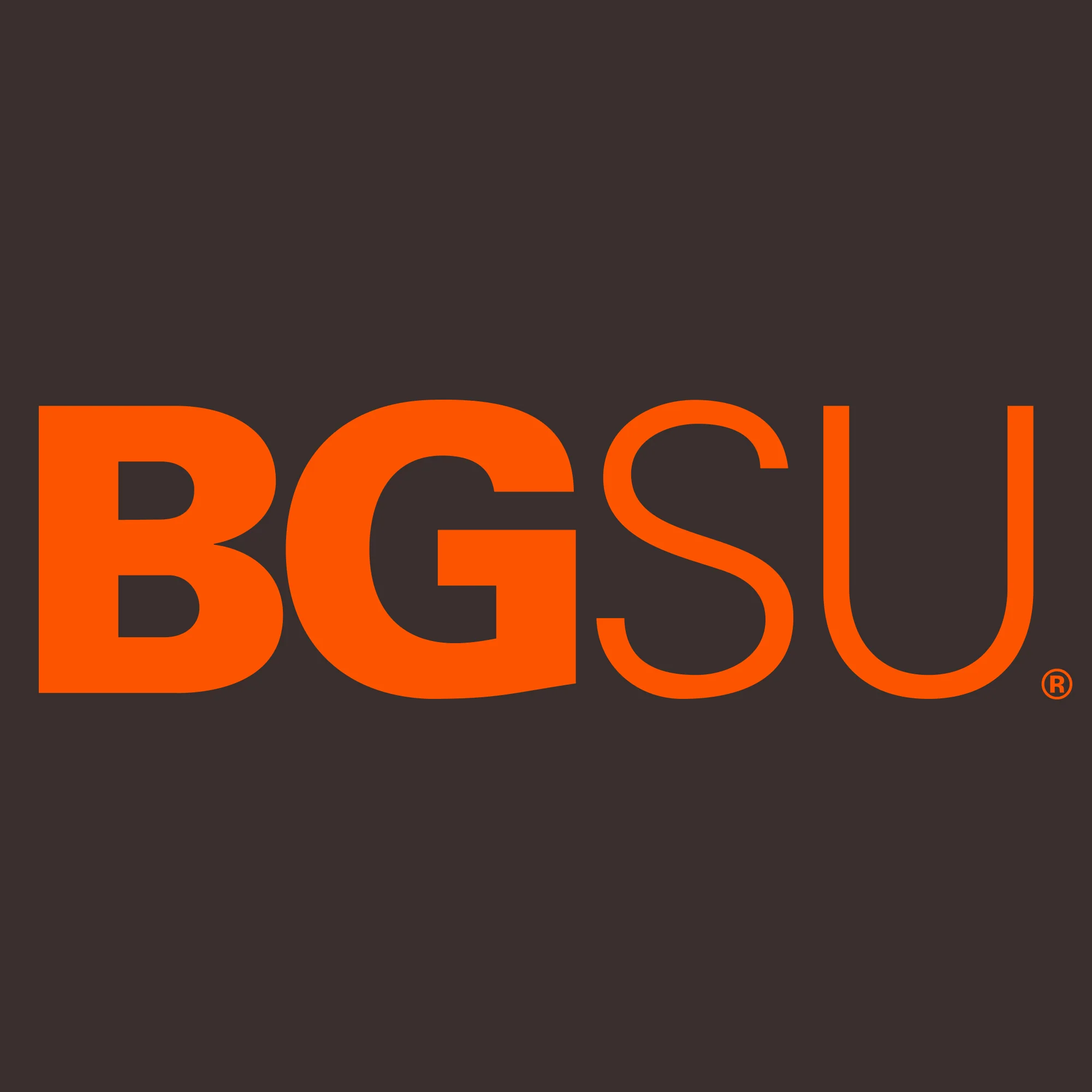 BGSU Bowling Green State University Falcons Institutional Logo T Shirt - Dark Chocolate - Image 2