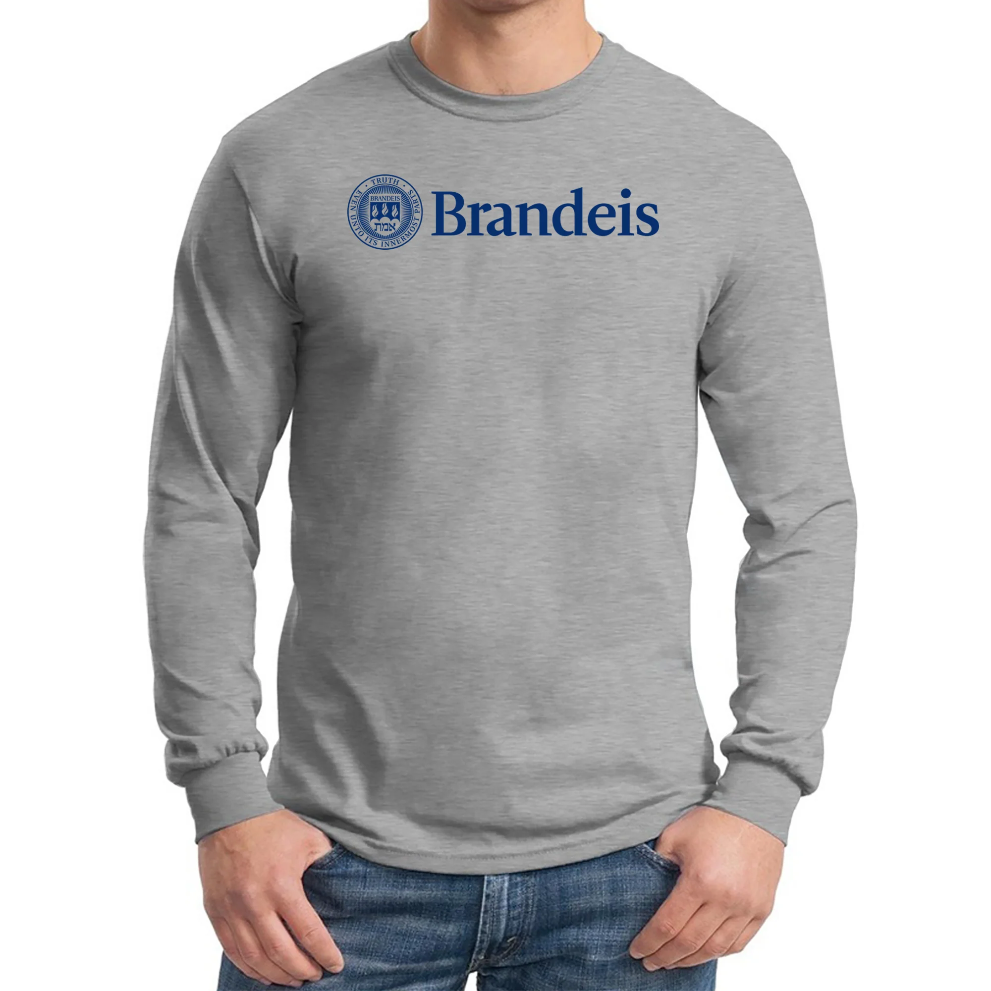 Brandeis Judges Institutional Logo Long Sleeve T Shirt - Sport Grey - Image 3