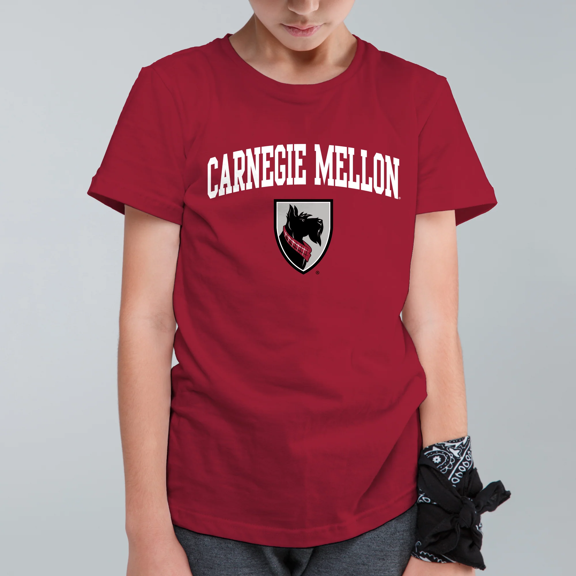 Carnegie Mellon Tartans Arch Logo Youth T Shirt - Cardinal - Image 3