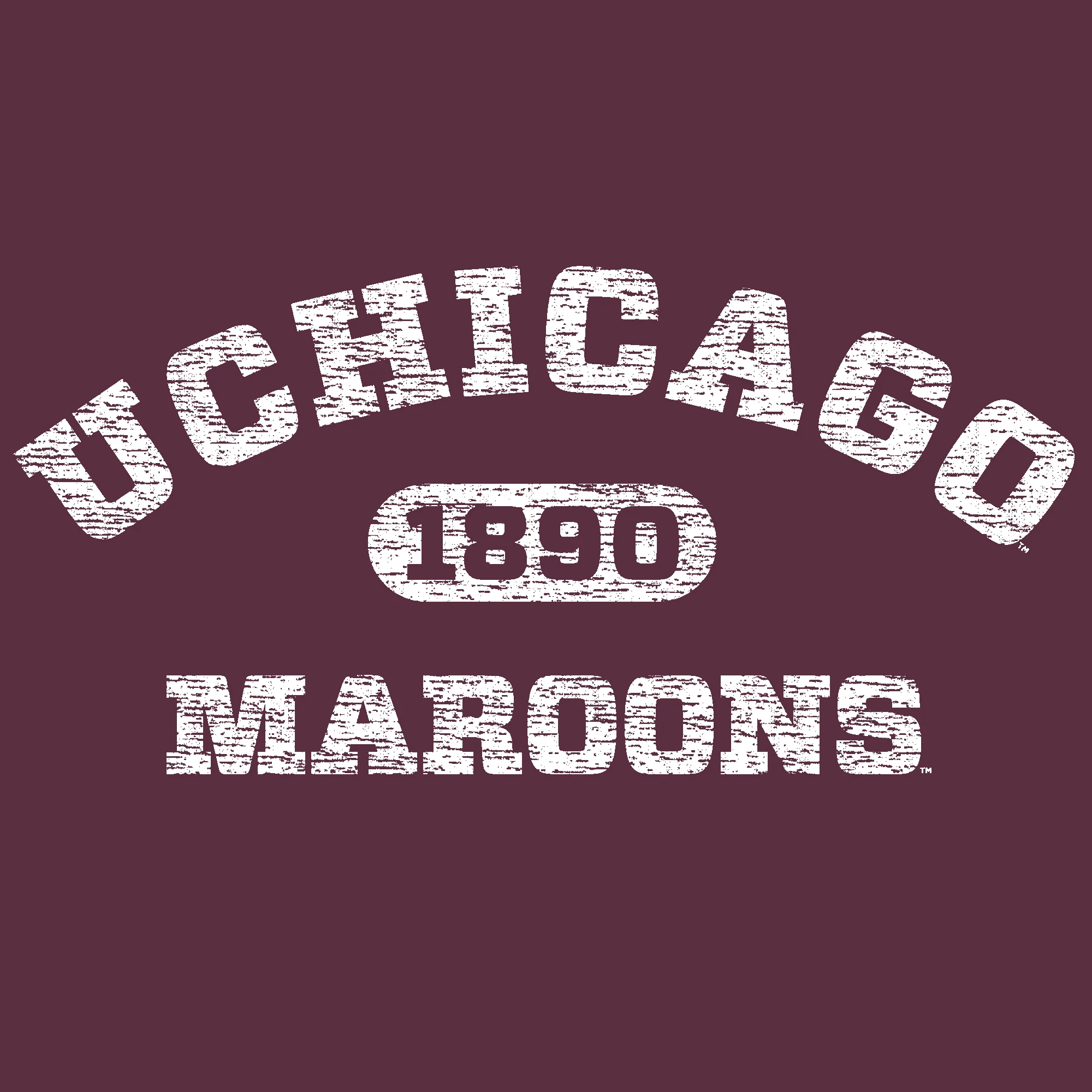 University of Chicago Maroons Athletic Arch Heavy Blend Hoodie - Maroon - Image 2