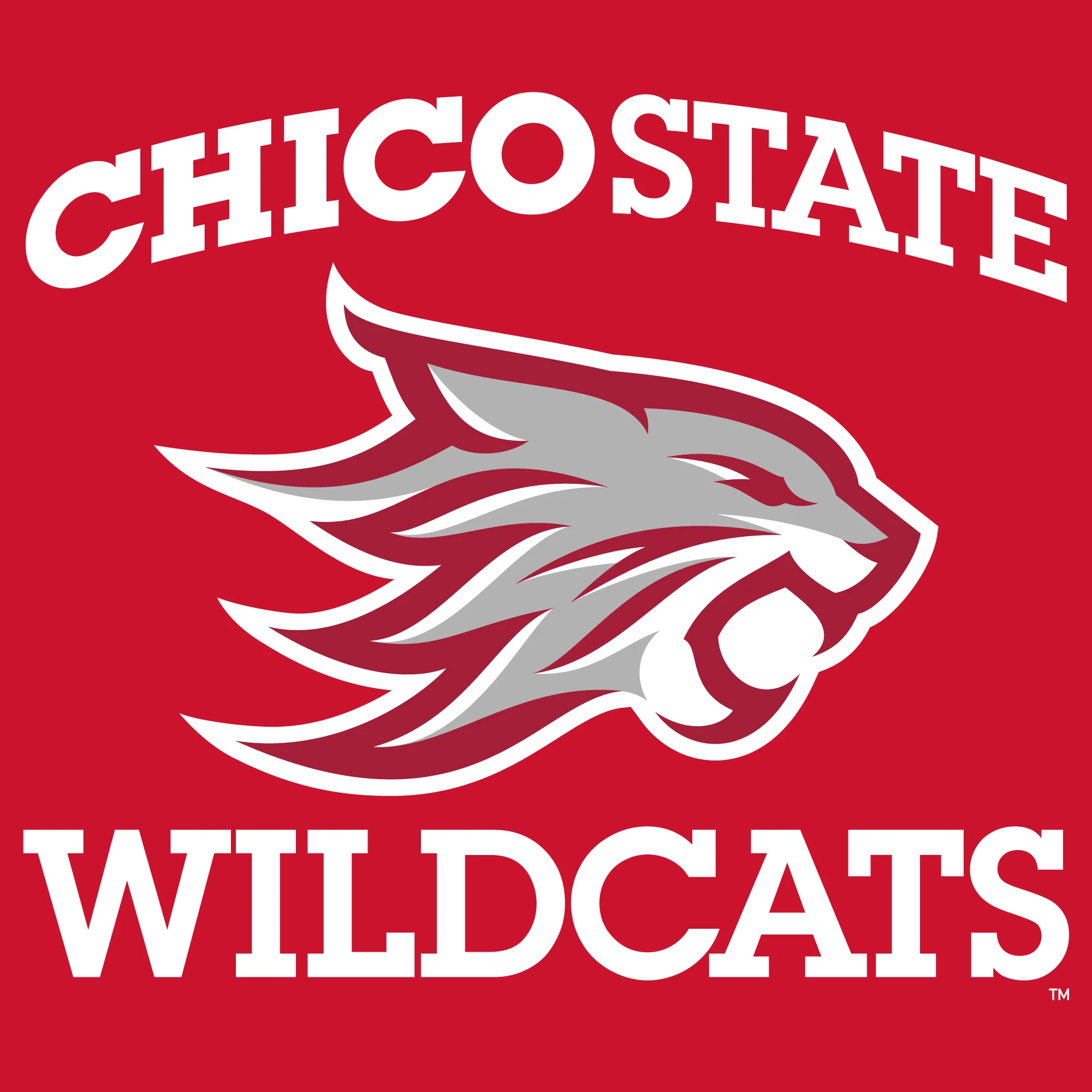 Chico State Wildcats Arch Logo T-Shirt - Image 5