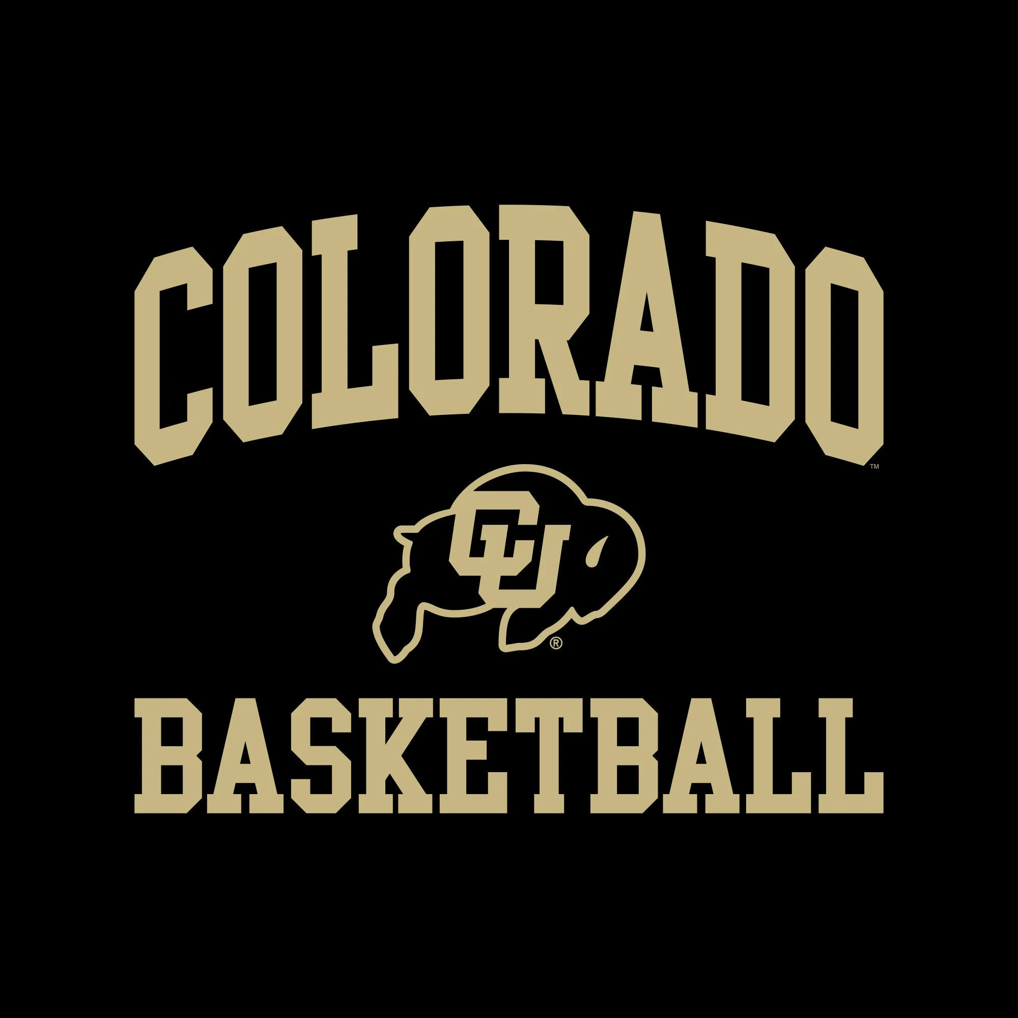 Colorado Arch Logo Basketball Hoodie - Black - Image 2