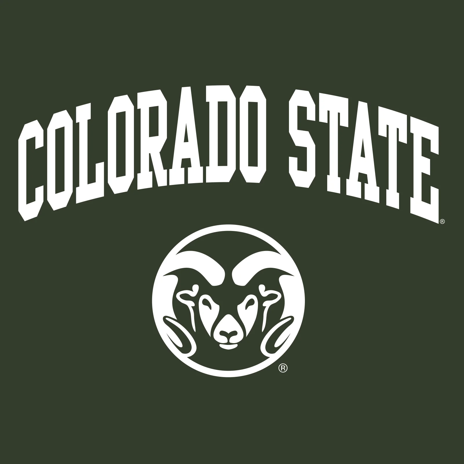 Colorado State University Rams Arch Logo Hoodie - Forest - Image 2