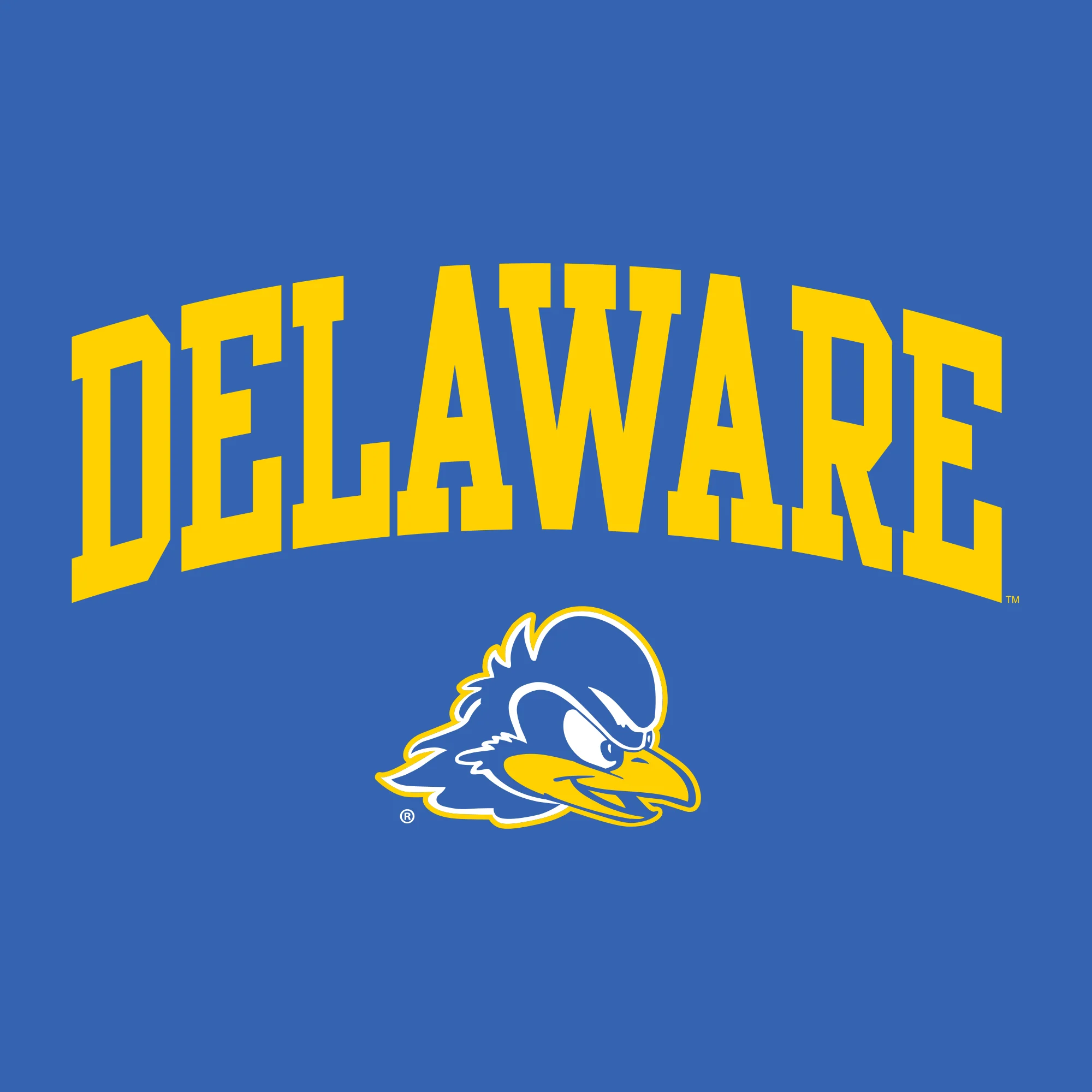 Delaware Blue Hens Arch Logo T Shirt - Royal - Image 2