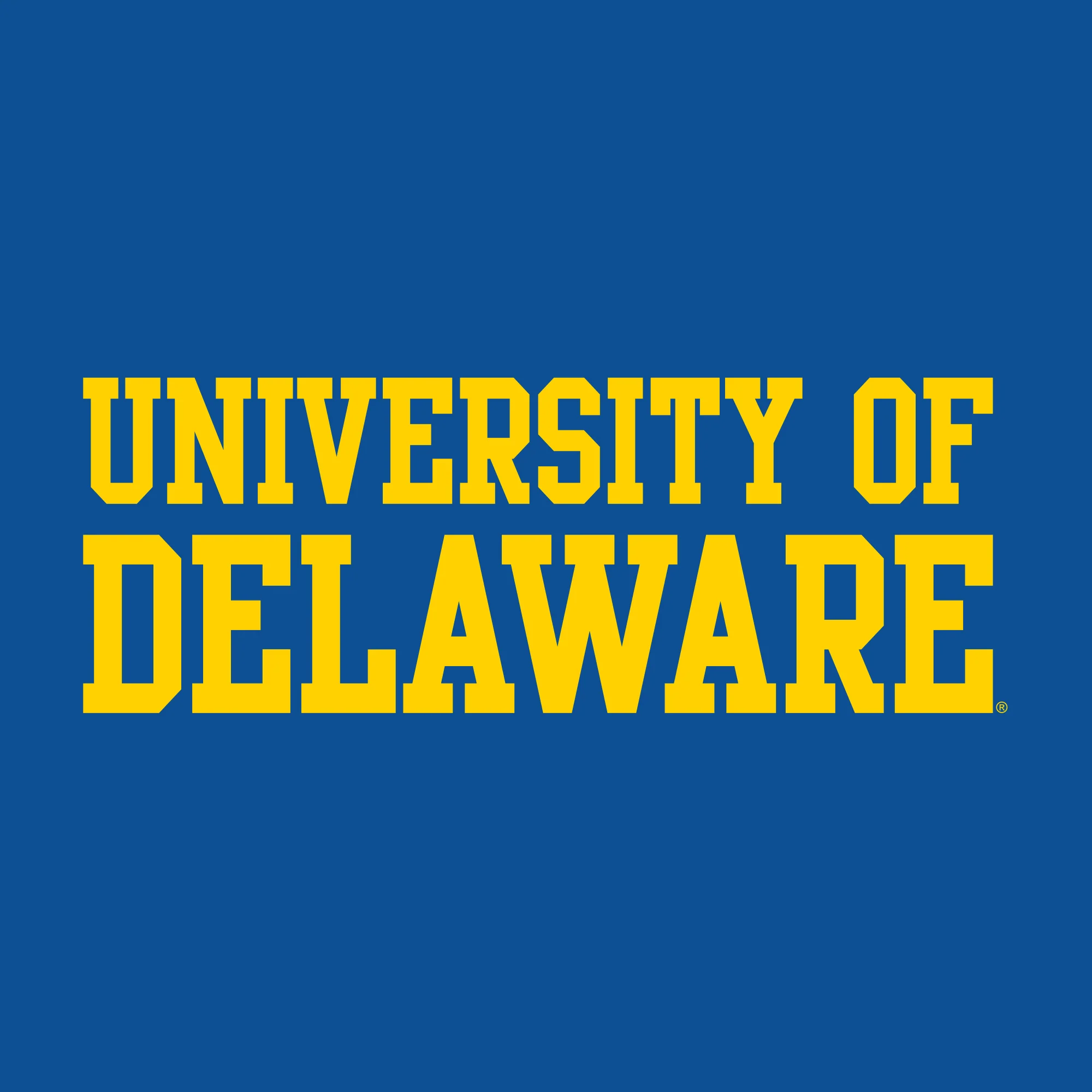 Delaware Blue Hens Basic Block Crewneck Sweatshirt - Royal - Image 2