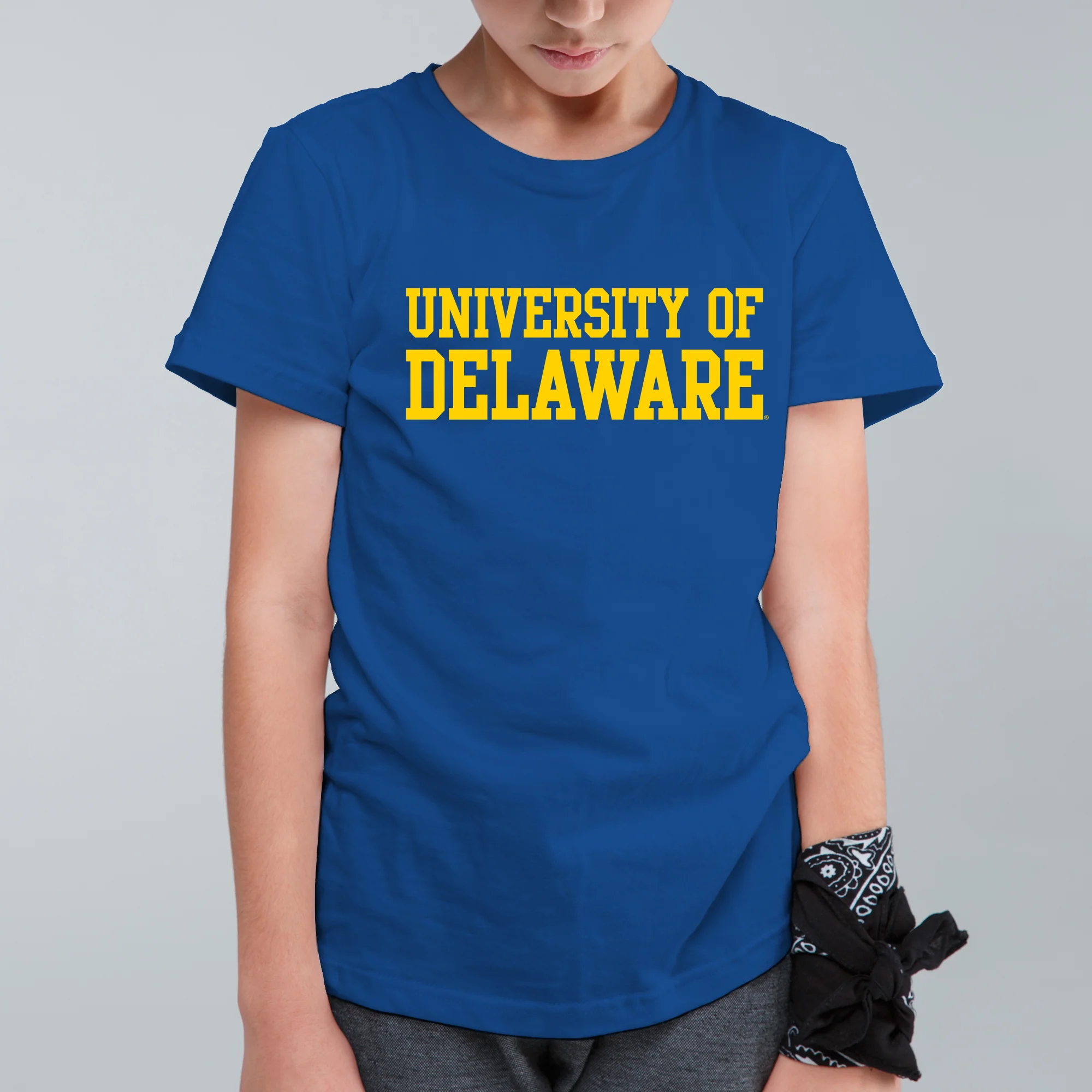Delaware Blue Hens Basic Block Youth T Shirt - Royal - Image 4