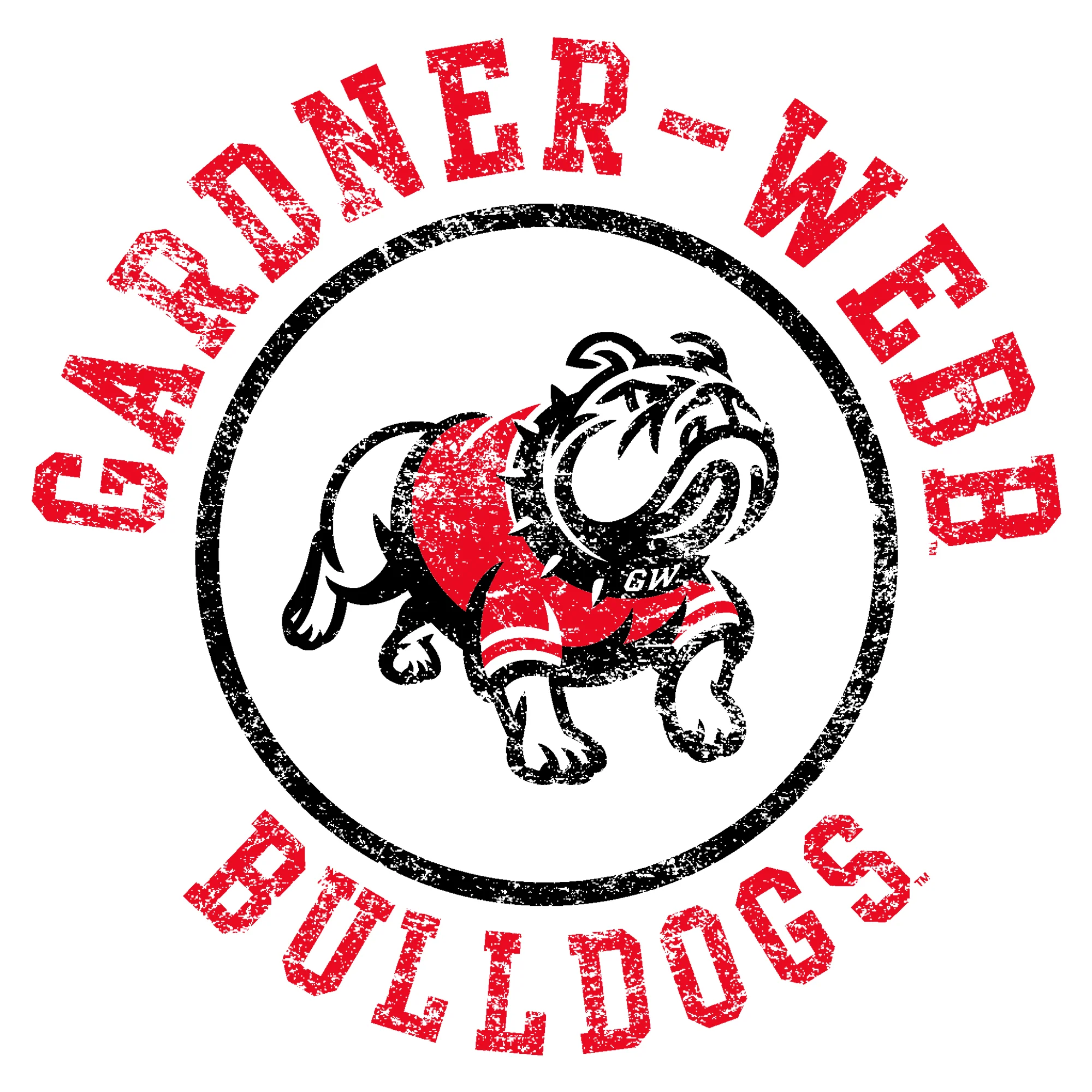 Gardner-Webb University Bulldogs Distressed Circle Logo Basic Cotton Short Sleeve Youth T Shirt - White - Image 2