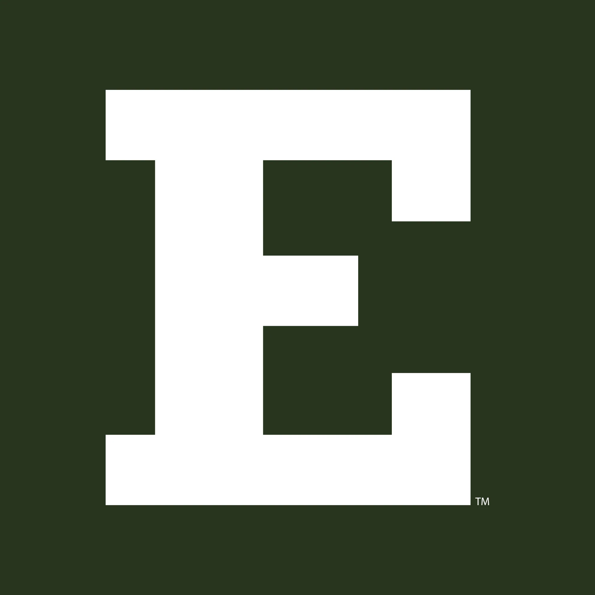 Eastern Michigan University Eagles Front Back Print Heavy Blend Hoodie - Forest - Image 4