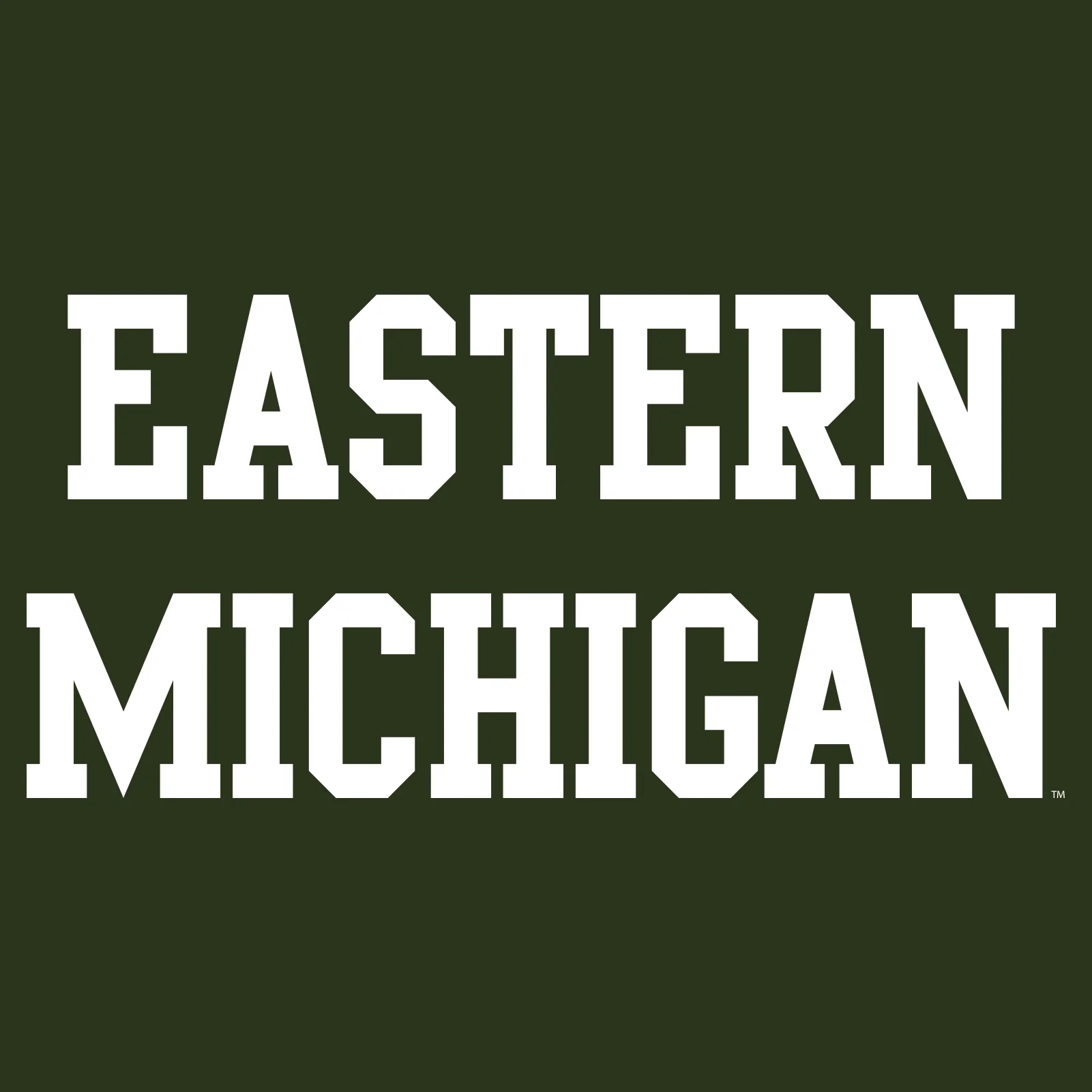 Eastern Michigan University Eagles Basic Block Hoodie - Forest - Image 2