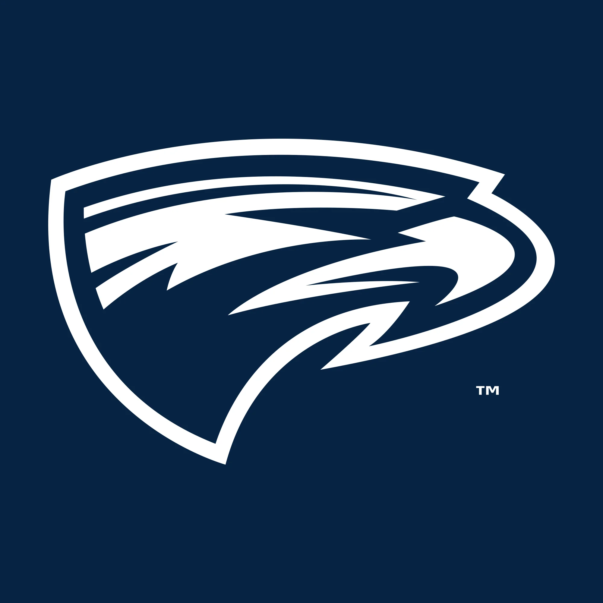 Emory University Eagles Front Back Print Heavy Blend Hoodie - Navy - Image 4