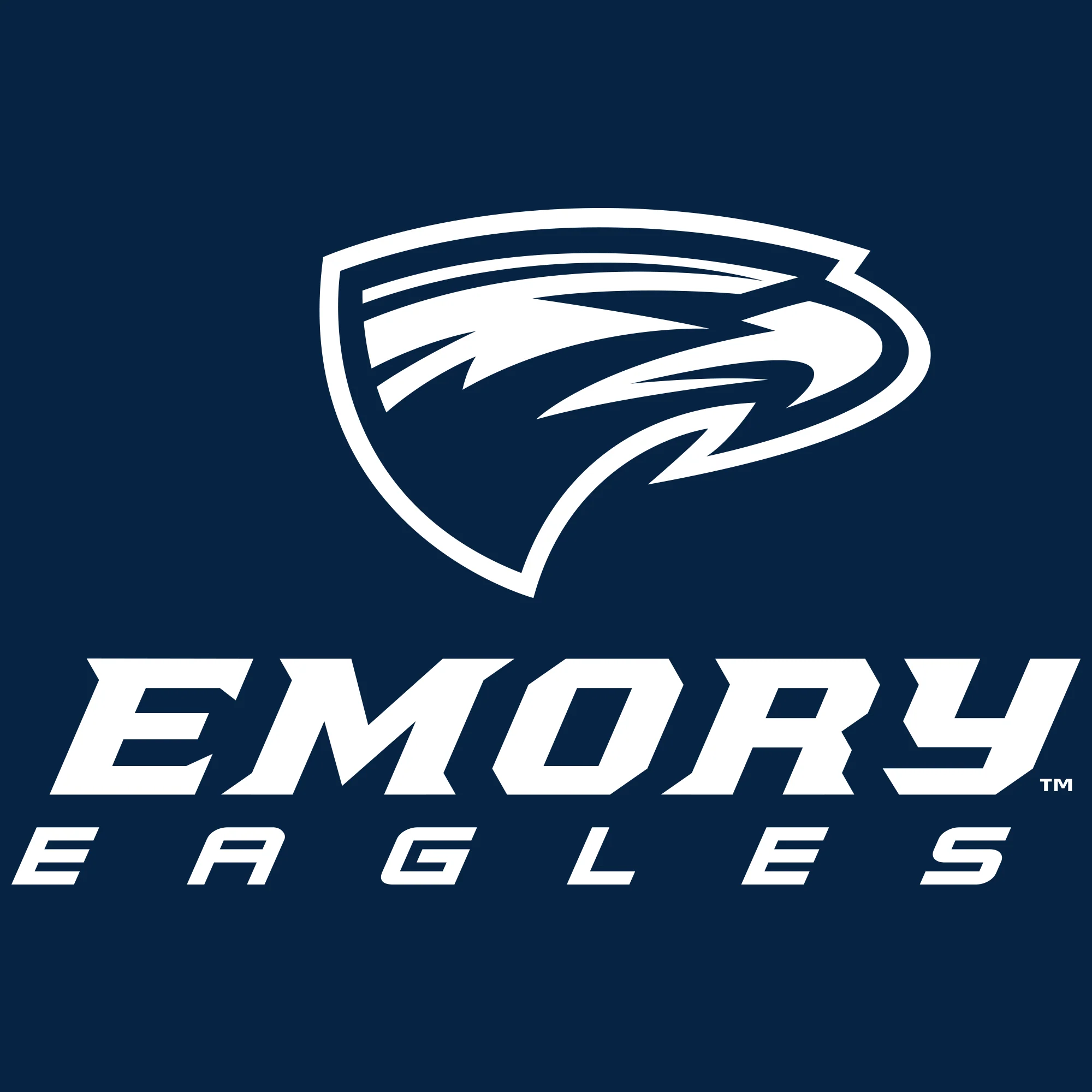 Emory University Eagles Primary Logo Toddler Short Sleeve T Shirt - Navy - Image 2