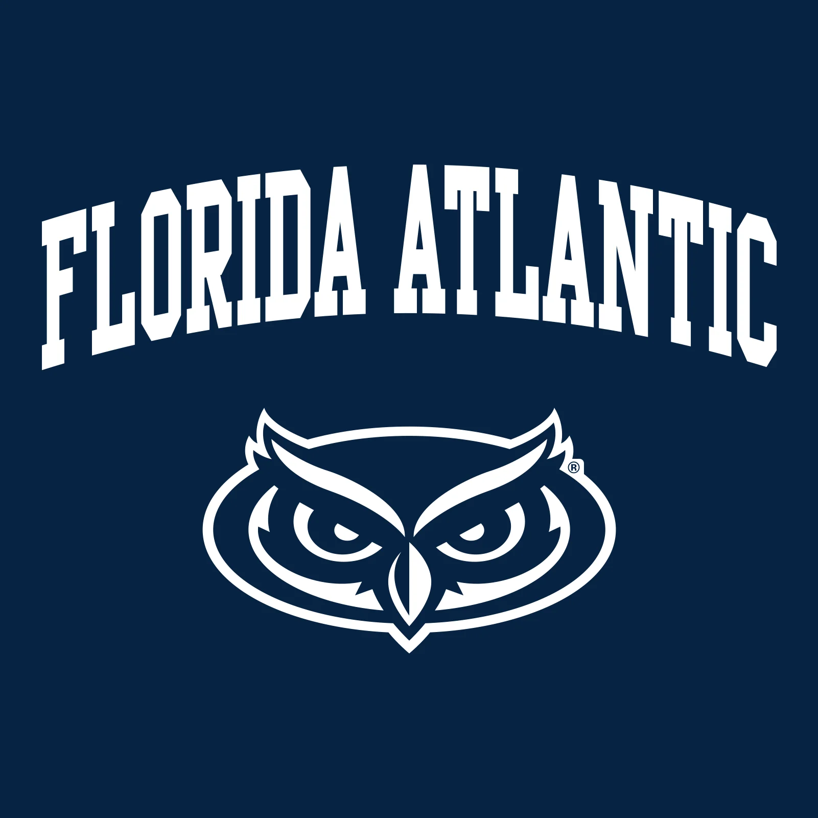 Florida Atlantic University Owls Arch Logo Creeper - Navy - Image 2