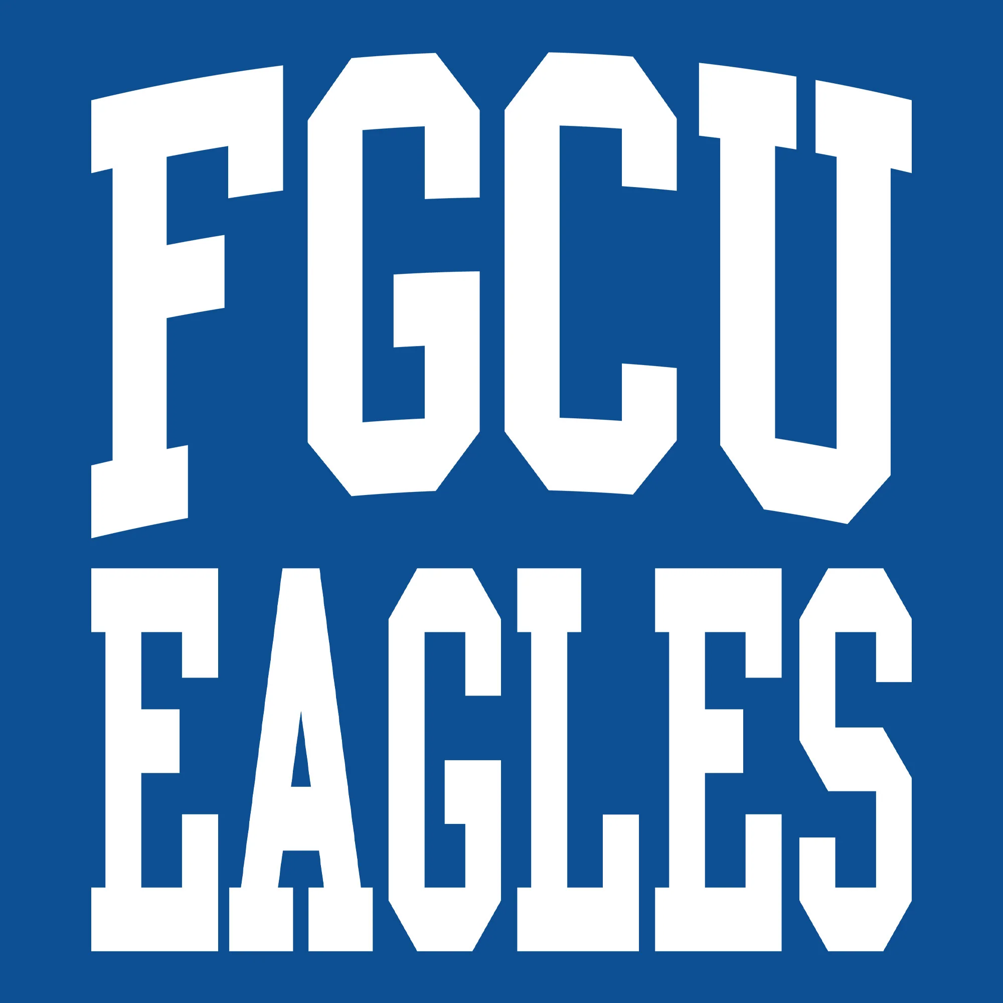 Florida Guld Coast University Eagles Front Back Print Hoodie - Royal - Image 2
