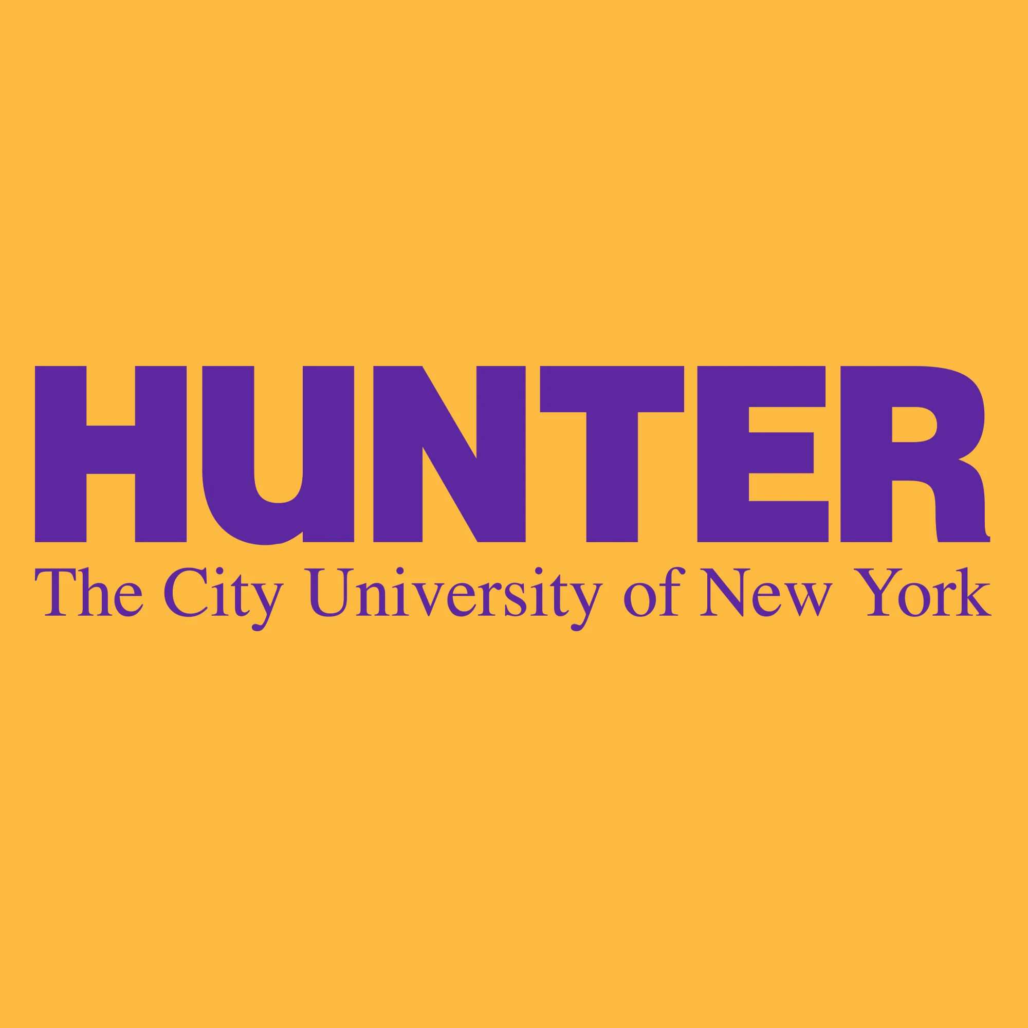 Hunter College Hawks Basic Block T Shirt - Gold - Image 2