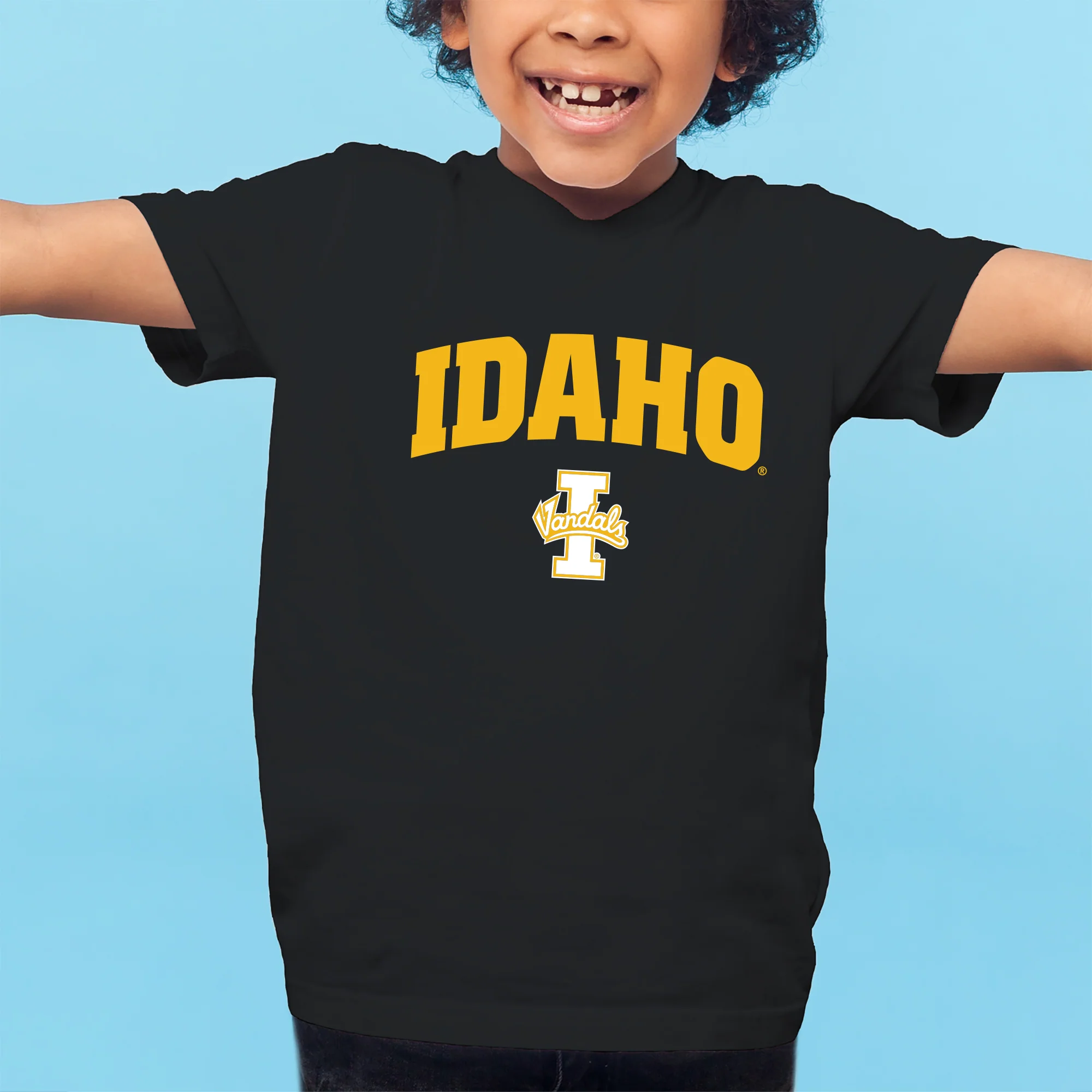 Idaho Vandals Arch Logo Youth T Shirt - Black - Image 3