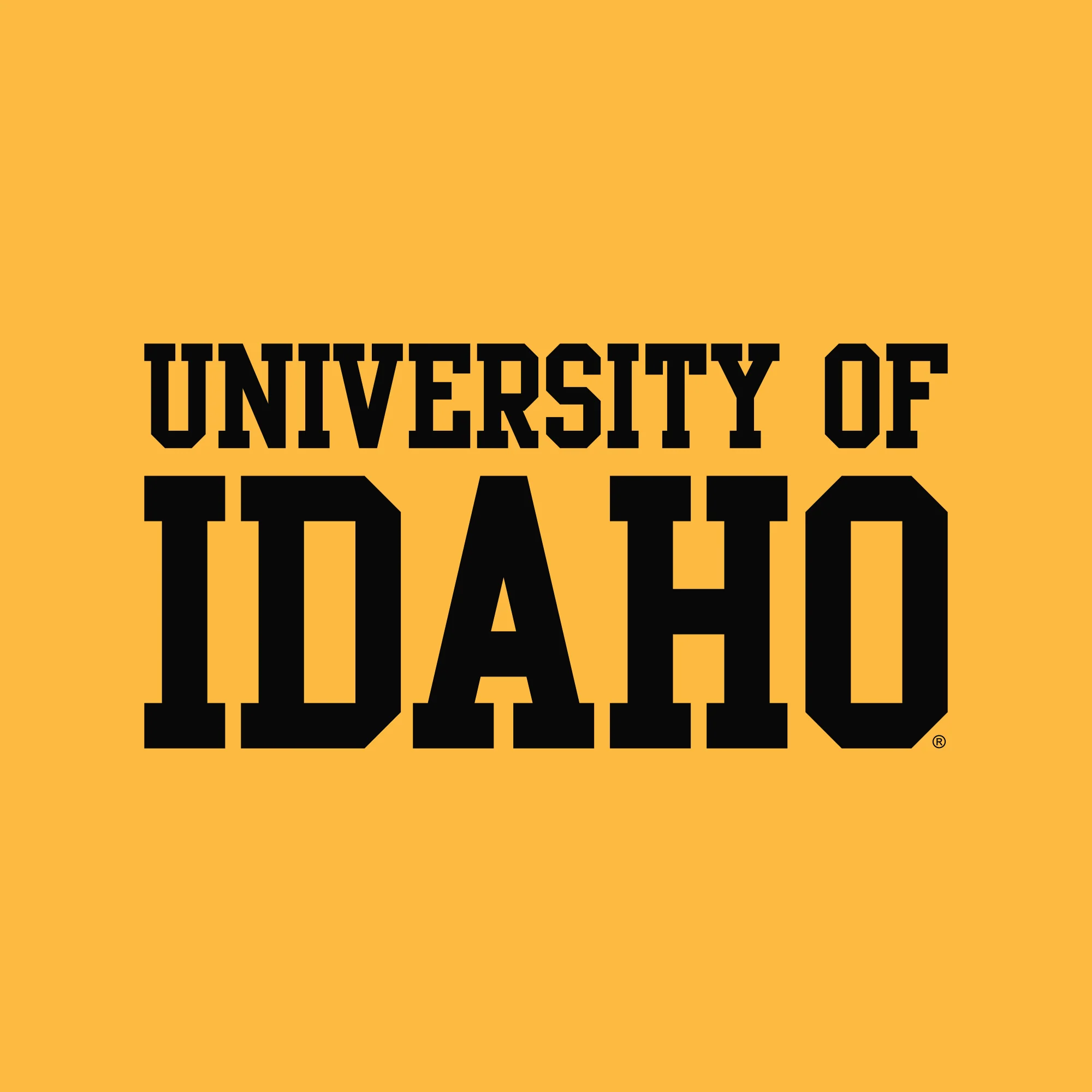 Idaho Vandals Basic Block Hoodie - Gold - Image 2