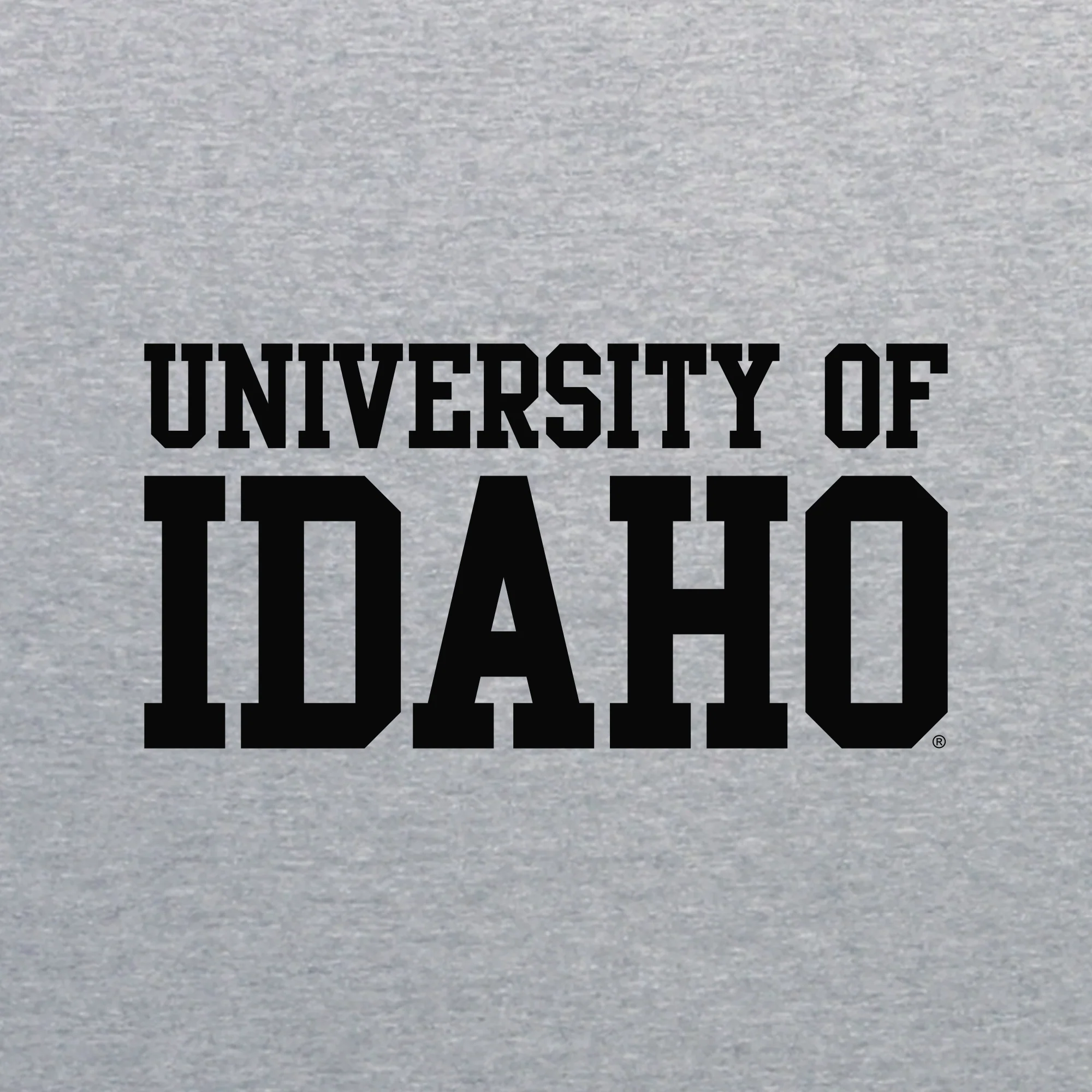 Idaho Vandals Basic Block T Shirt - Sport Grey - Image 2