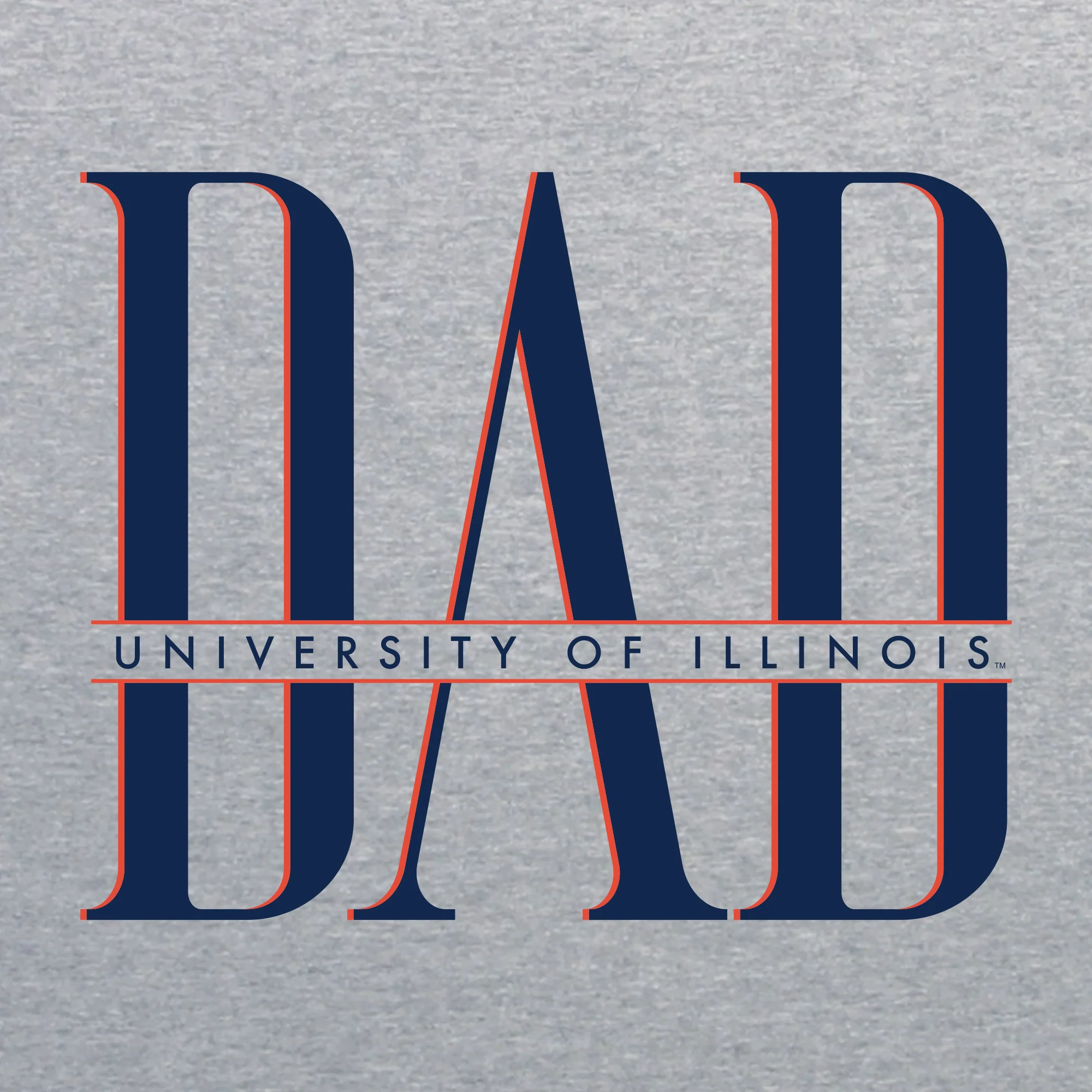 Illinois Classic Dad Crewneck - Sport Grey - Image 2