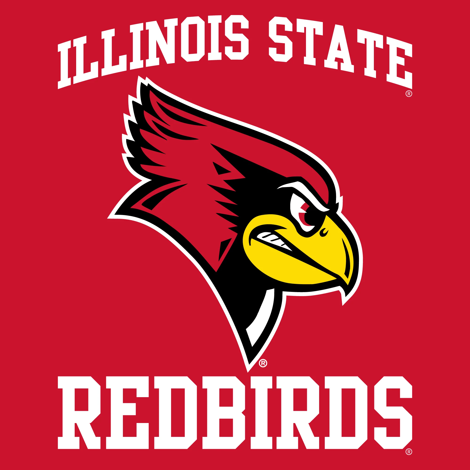 Illinois State Redbirds Arch Logo Hoodie - Image 3