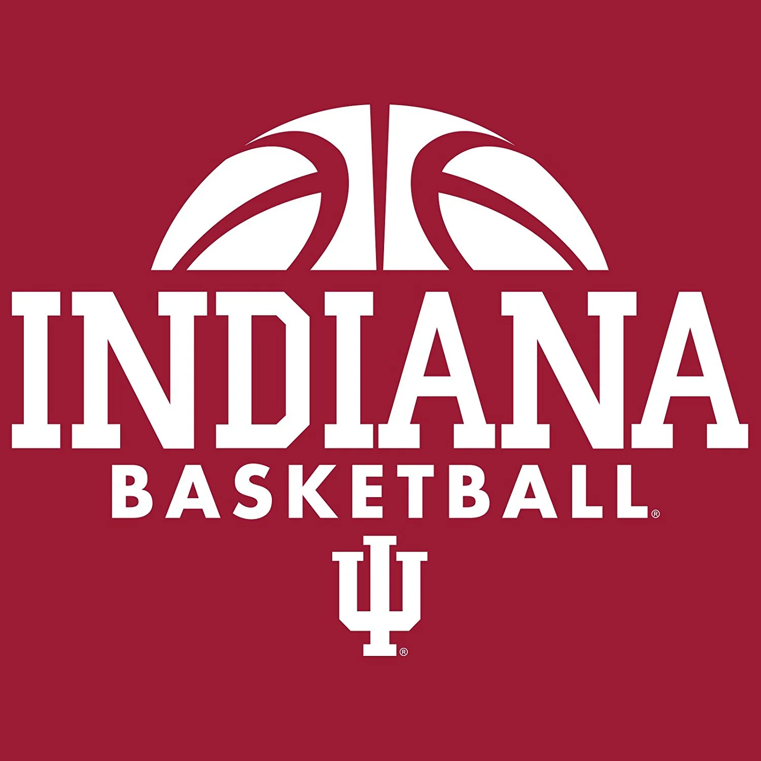 Indiana Hoosiers Basketball Hype Short Sleeve Tee - Cardinal - Image 2