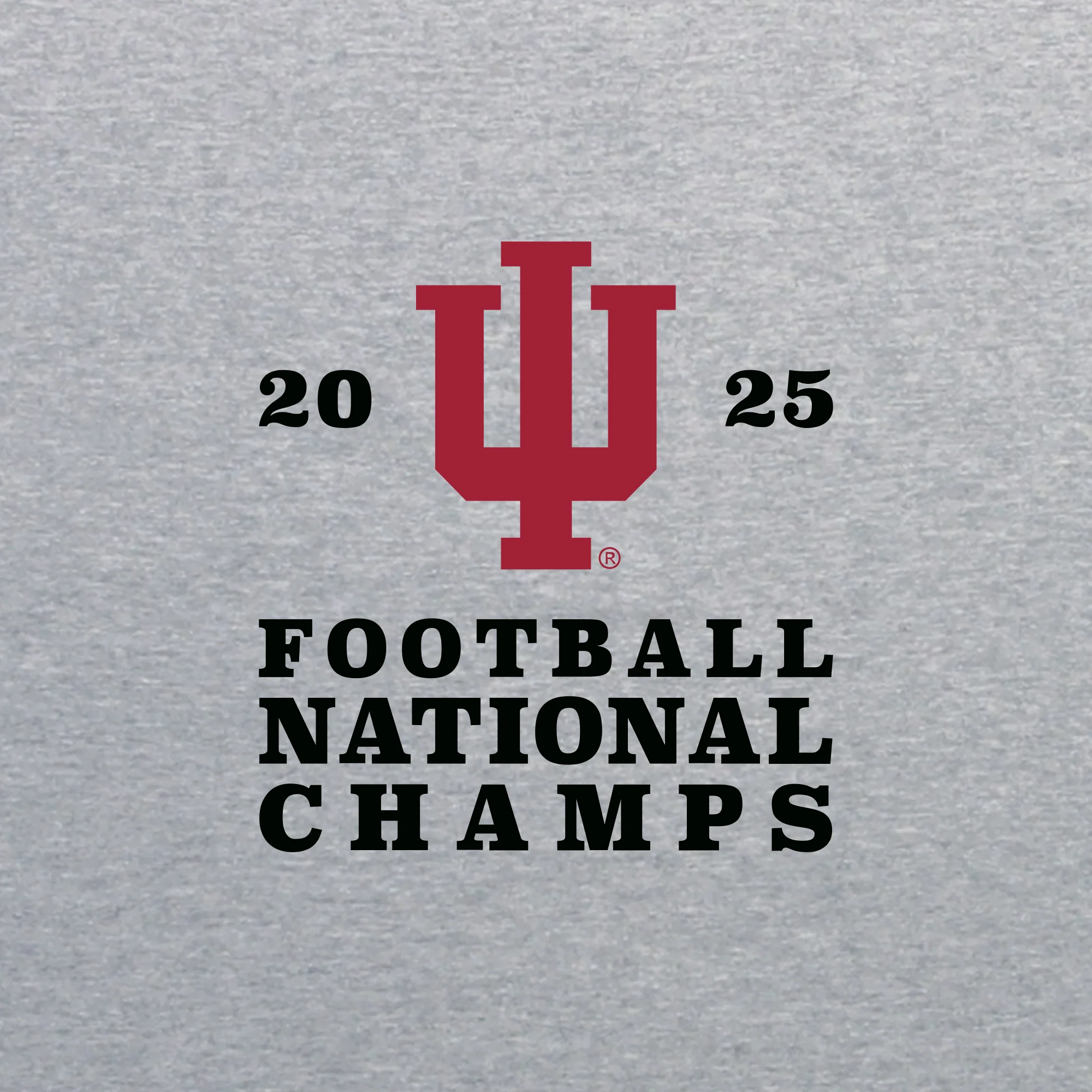 Indiana Perfect Season National Champions 2025 JA BTB Hoodie - Oxford - Image 2