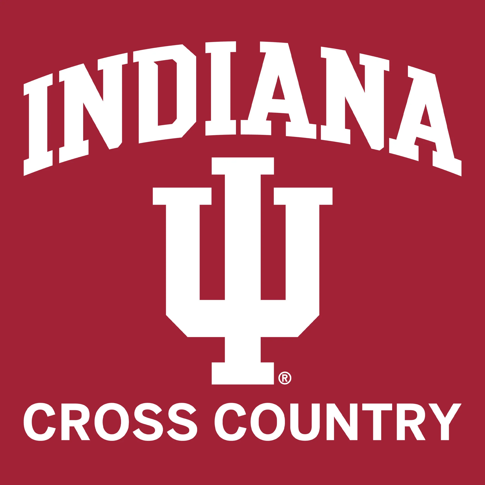 Indiana University Hoosiers Arch Logo Cross Country Hoodie - Cardinal - Image 2