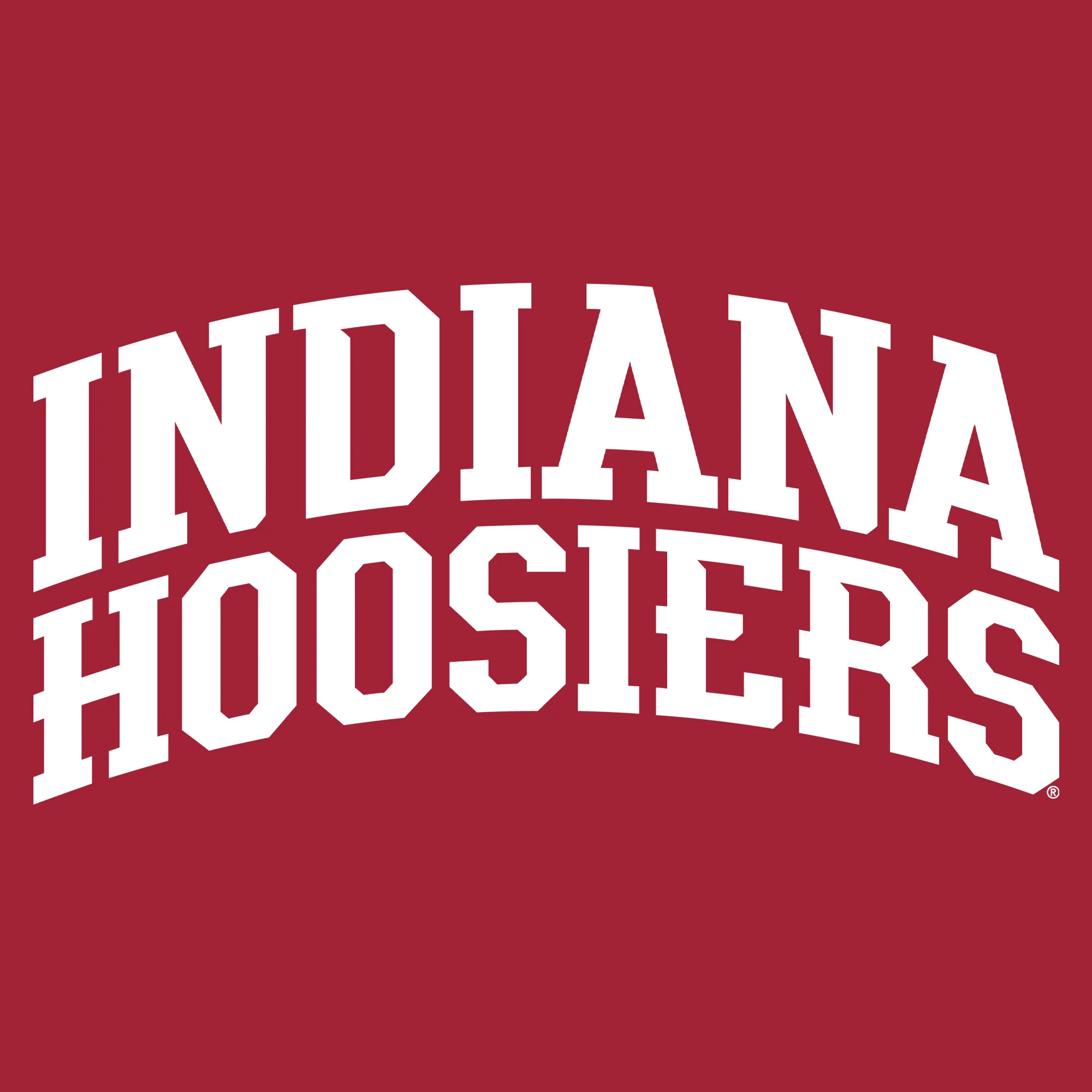 Indiana University Hoosiers Front Back Print Heavy Blend Hoodie - Cardinal - Image 2
