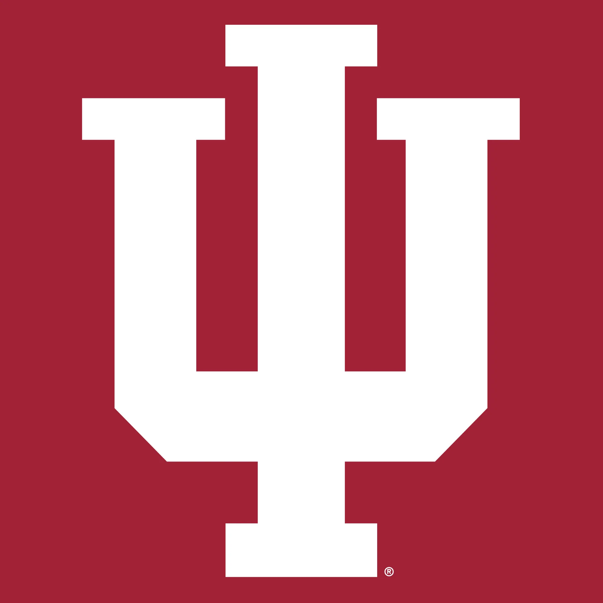 Indiana University Hoosiers Front Back Print Heavy Blend Hoodie - Cardinal - Image 4