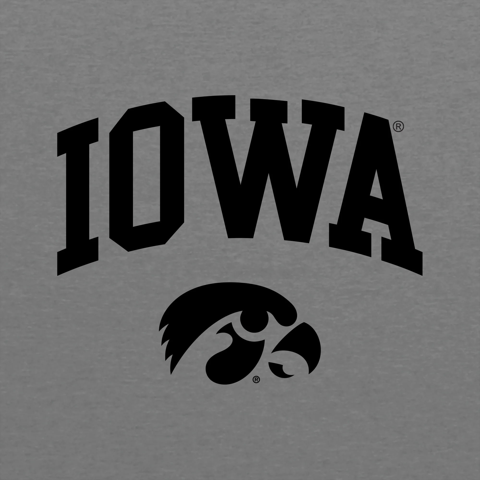 University of Iowa Hawkeyes Arch Logo Triblend Short Sleeve T Shirt - Premium Heather - Image 2