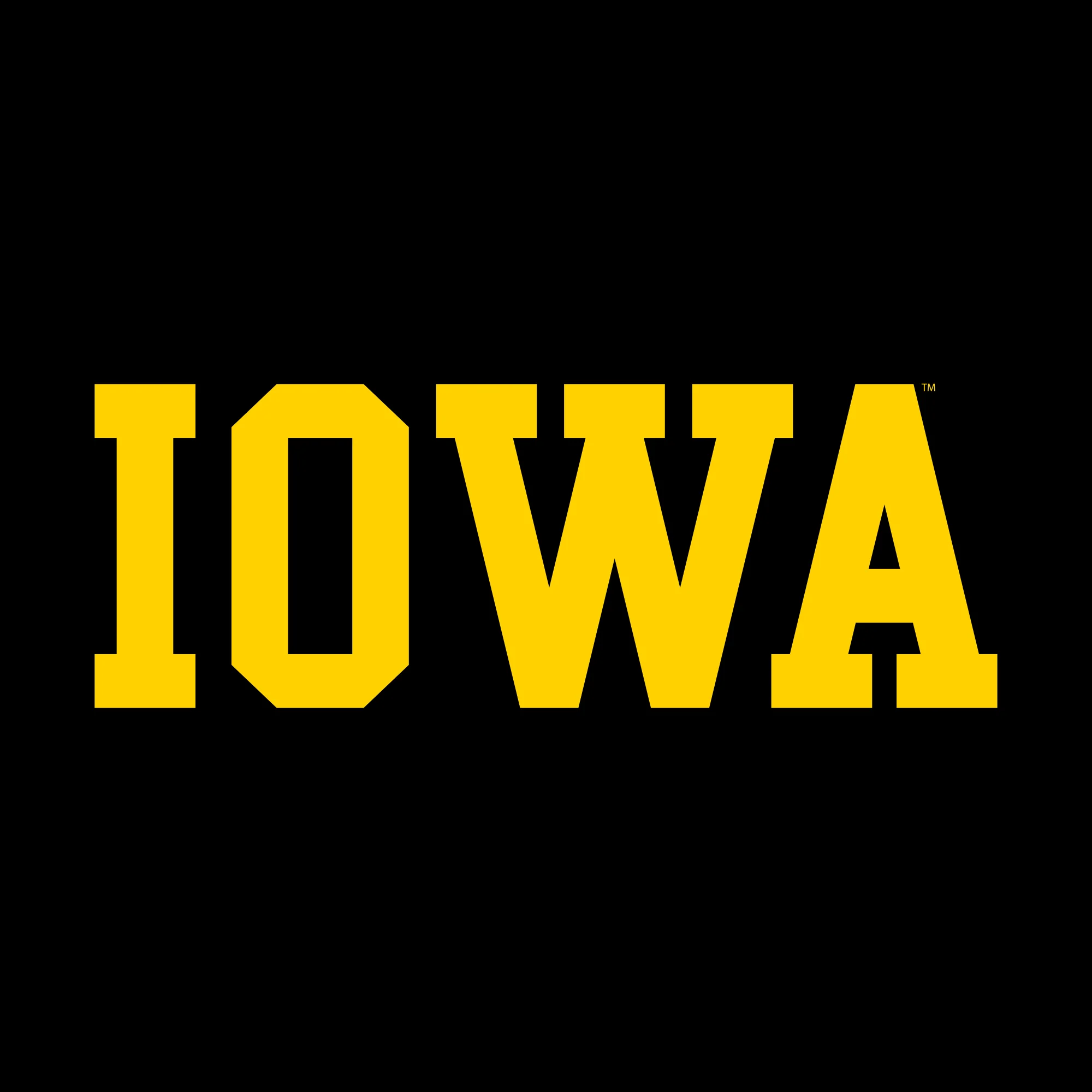 University of Iowa Hawkeyes Basic Block Premium Cotton Short Sleeve T Shirt - Black - Image 2