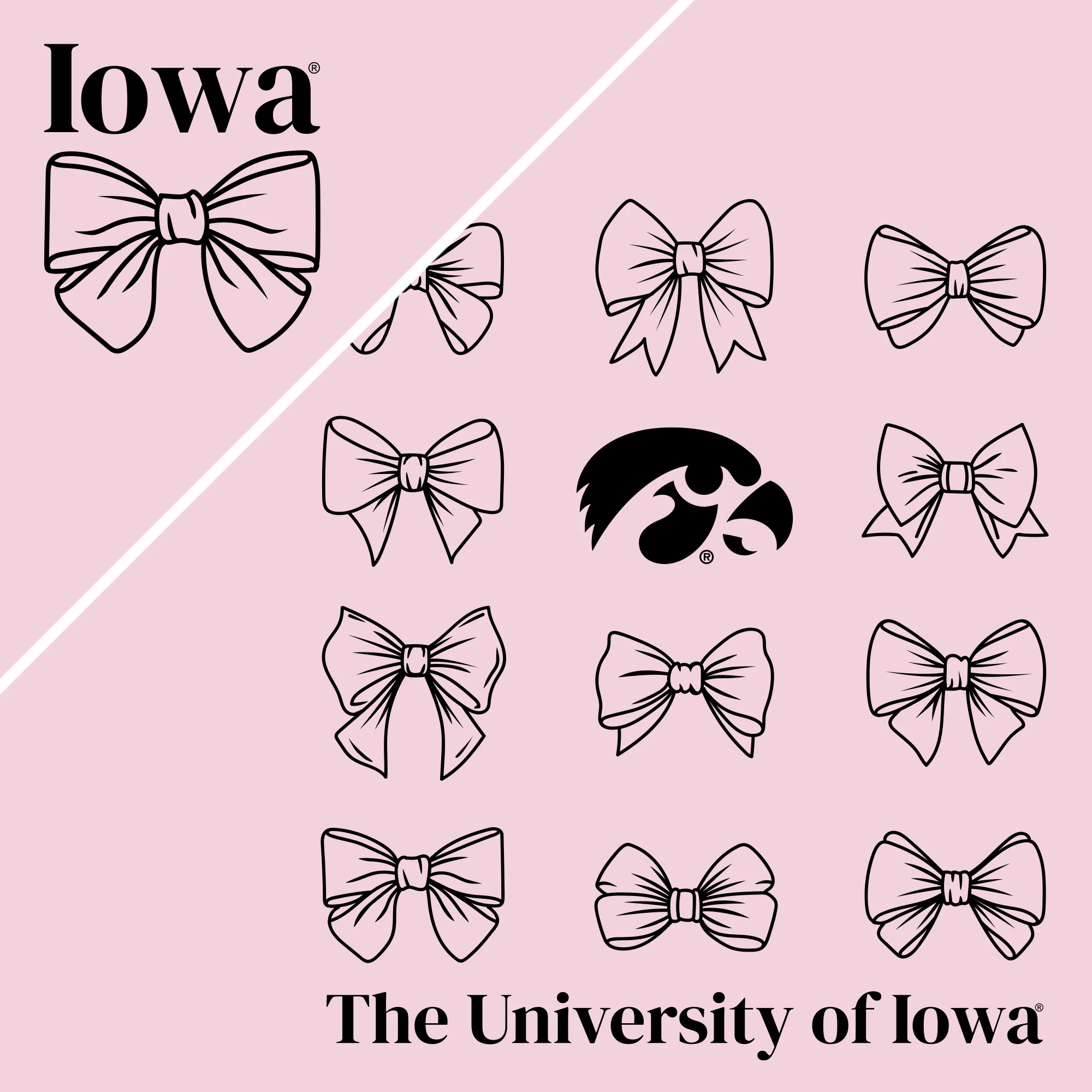 Iowa Bow Bliss T-Shirt - Light Pink - Image 2