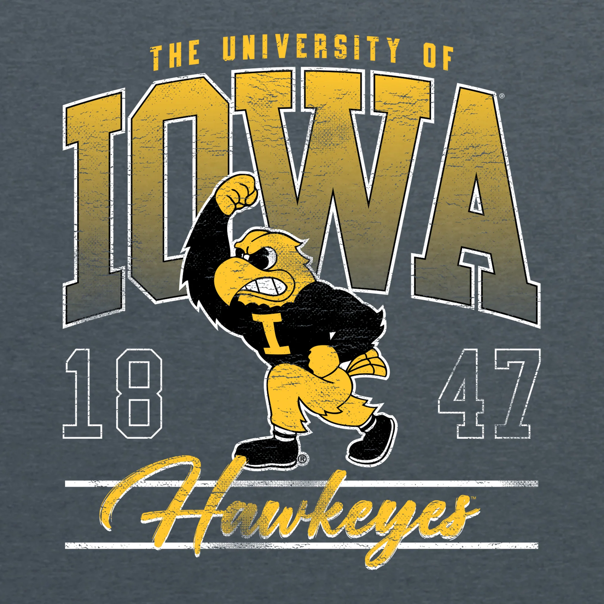 Iowa Colossal Long Sleeve - Dark Heather - Image 2