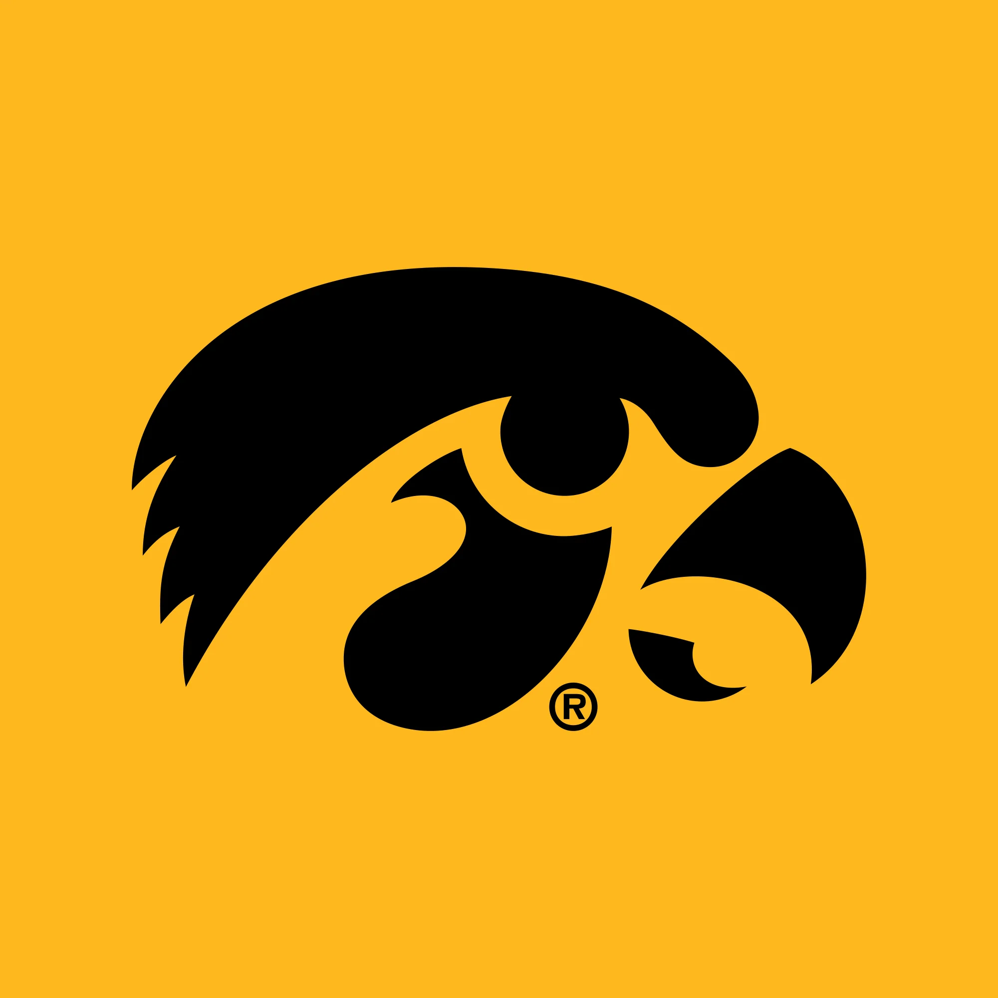 Iowa Hawkeyes Double Sleeve Print Long Sleeve Shirt - Gold - Image 2