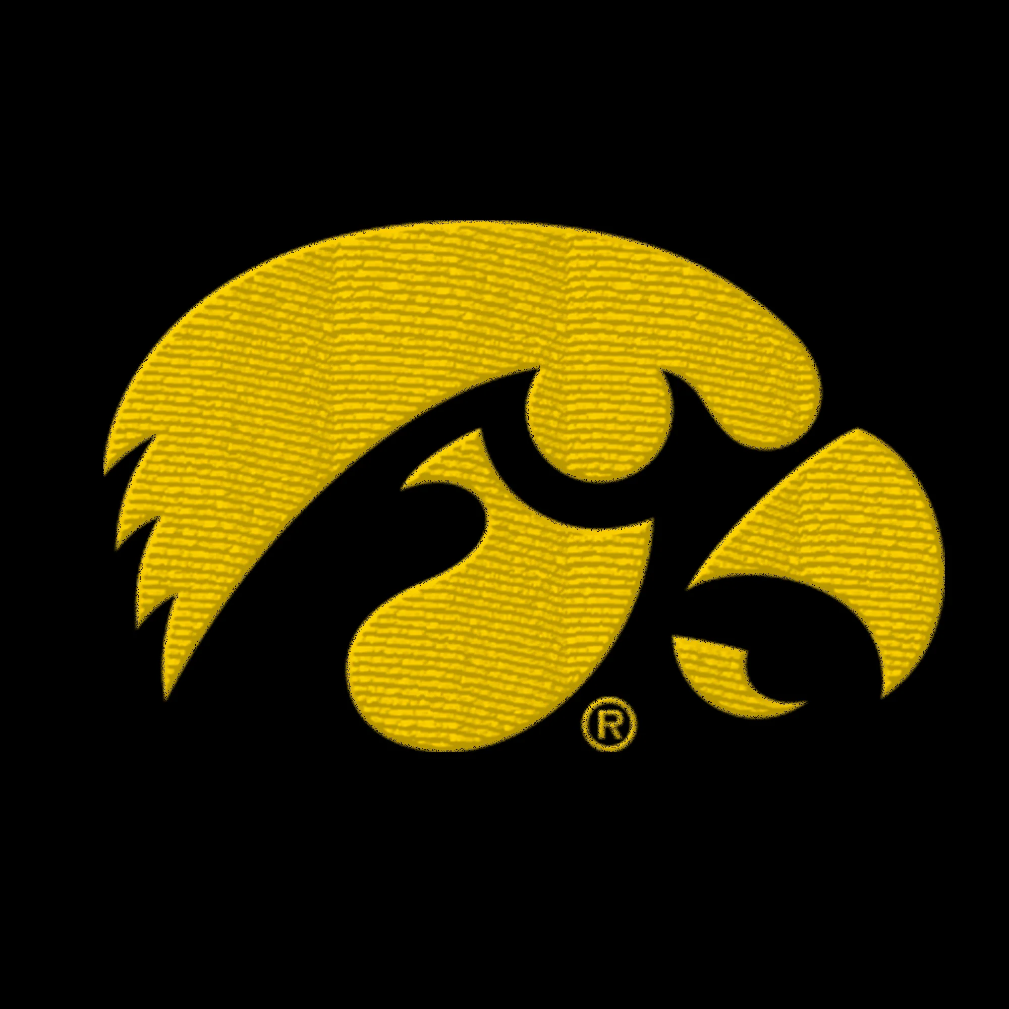 Iowa Hawkeyes Primary Logo Dad Hat - Image 2