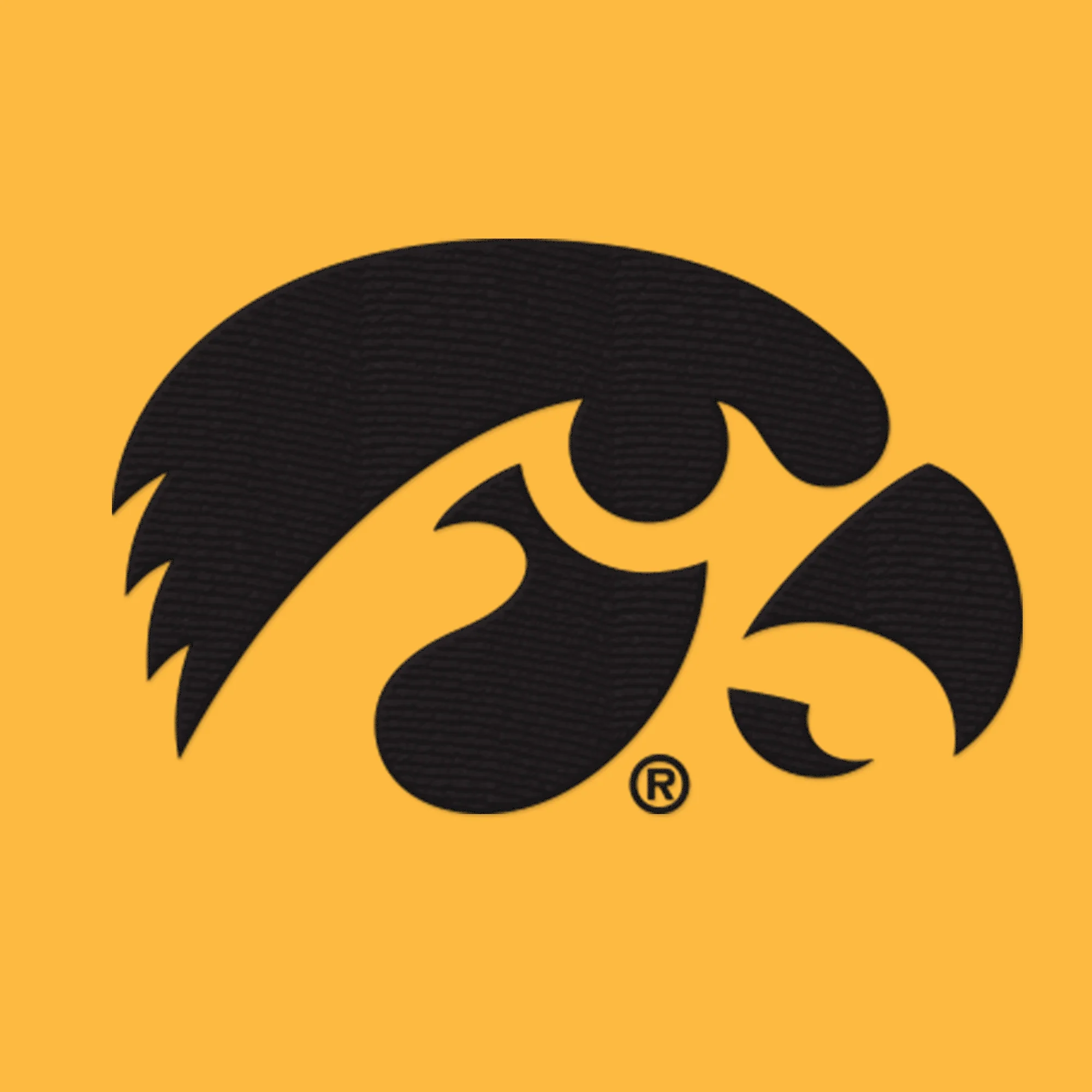 Iowa Hawkeyes Primary Logo Dad Hat - Image 5